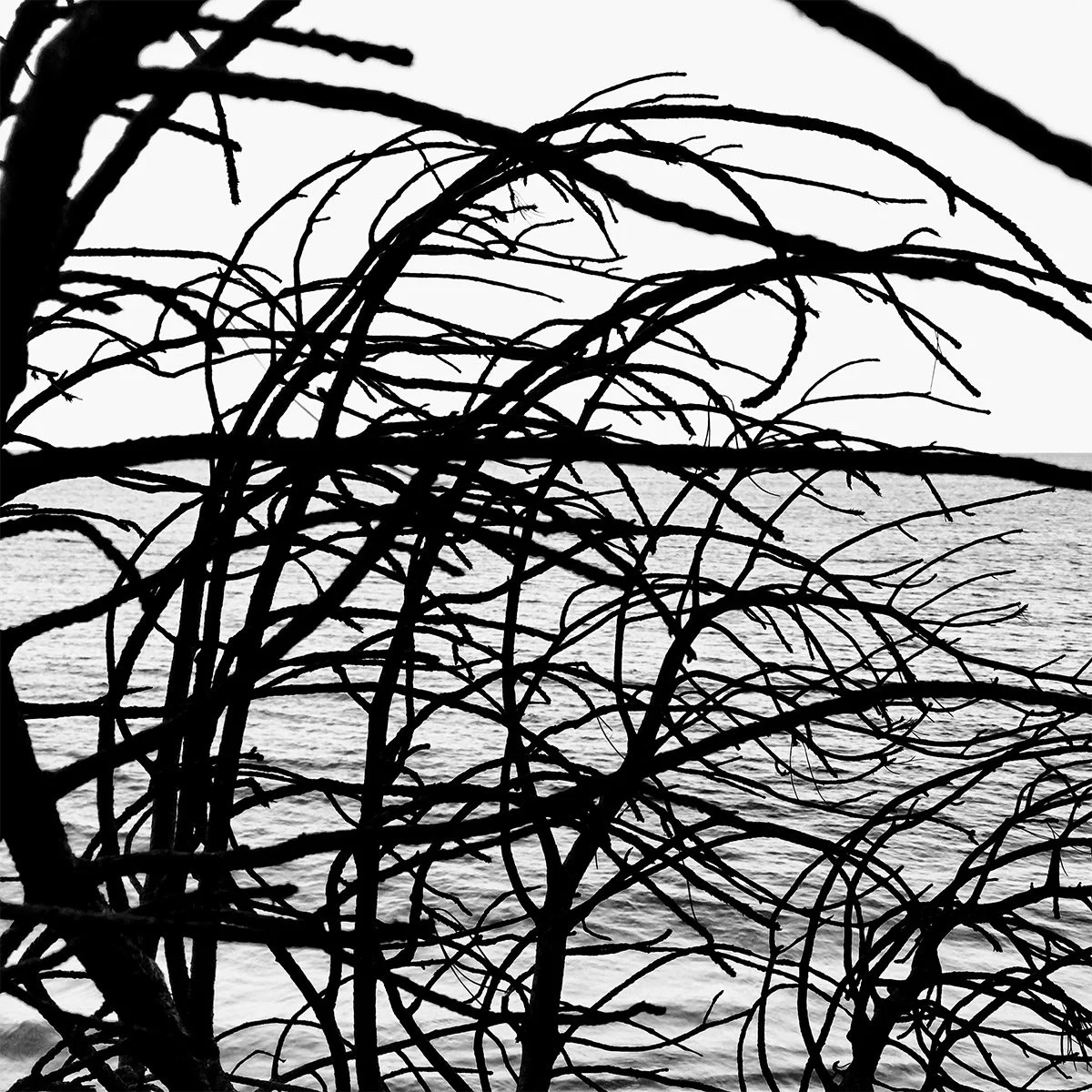 Solstice Walking and Swimming_2.jpg