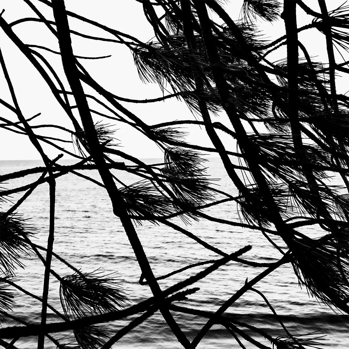 Solstice Walking and Swimming_3.jpg