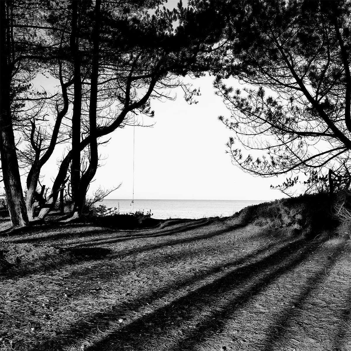 Solstice Walking and Swimming_7.jpg