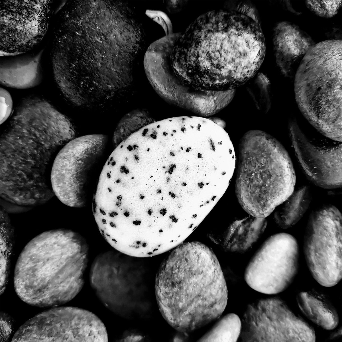 Solstice Walking and Swimming_9.jpg