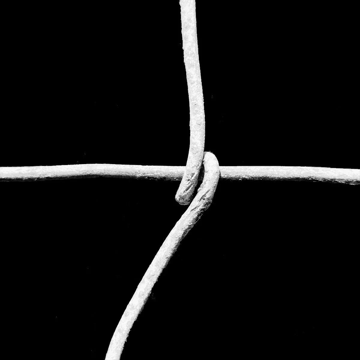 Draad-Fence_Black_4 Square_ (1).jpg