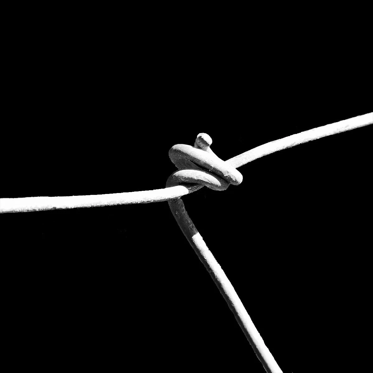 Draad-Fence_Black_3 Below_ (2).jpg