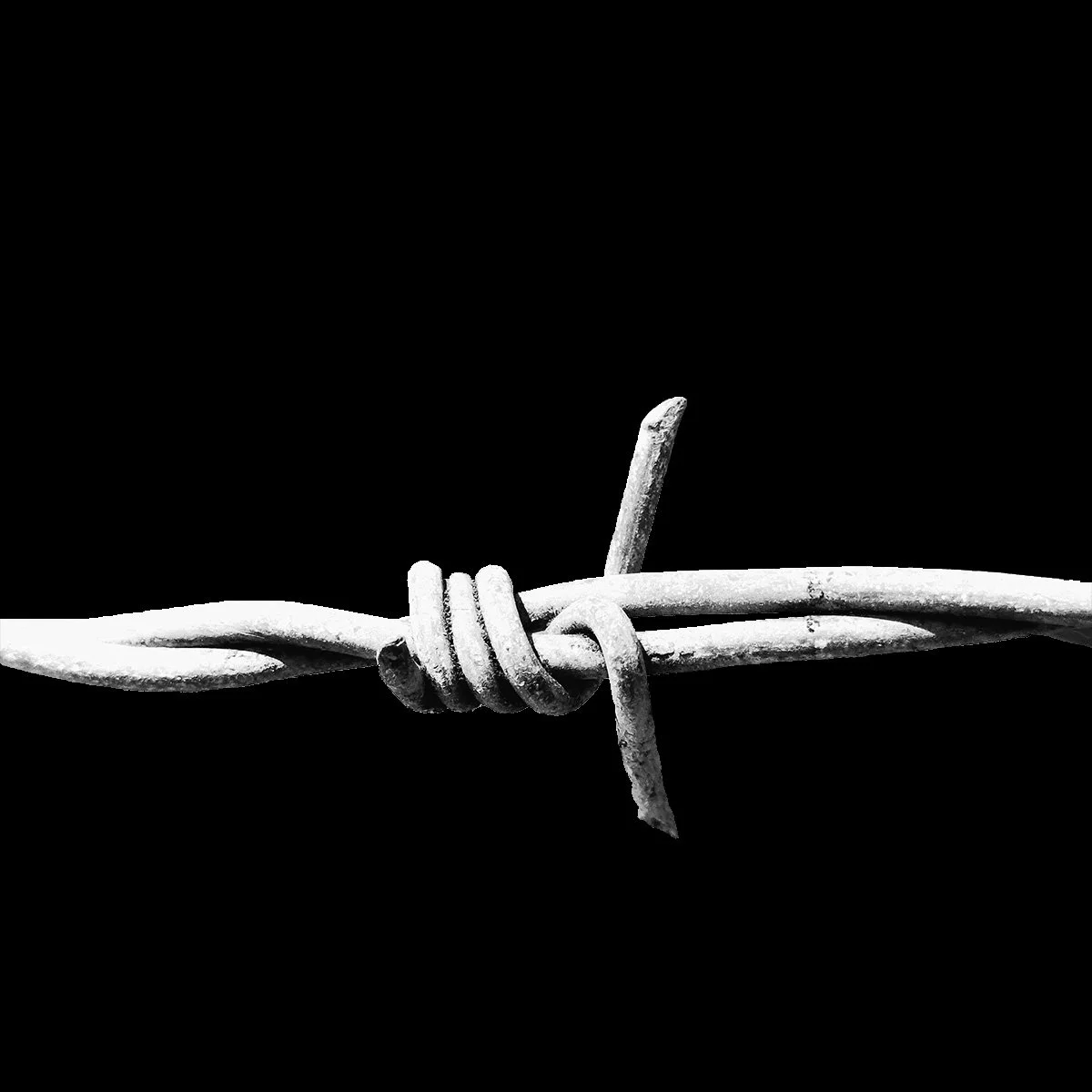 Draad-Fence_Black_Doring_ (1).jpg
