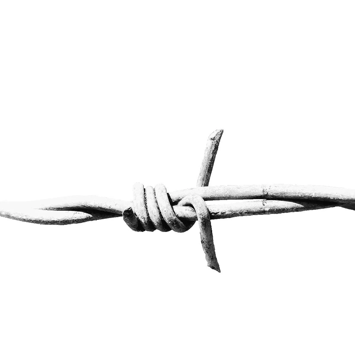 Draad-Fence_White_Doring_ (1).jpg