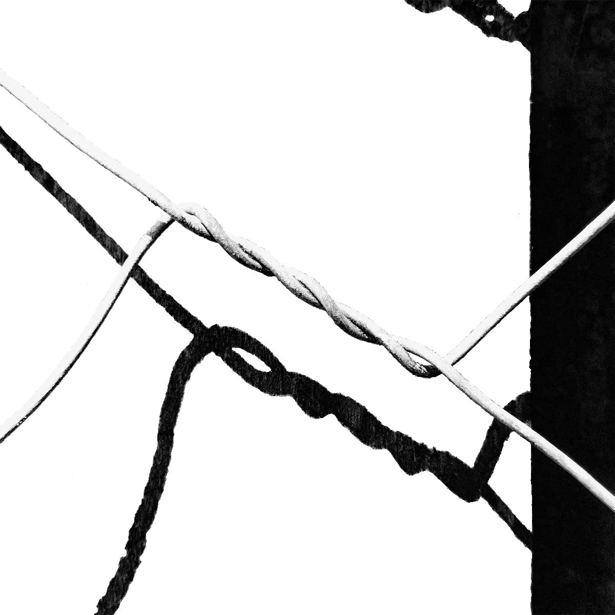 Draad-Fence_xx_2.jpg