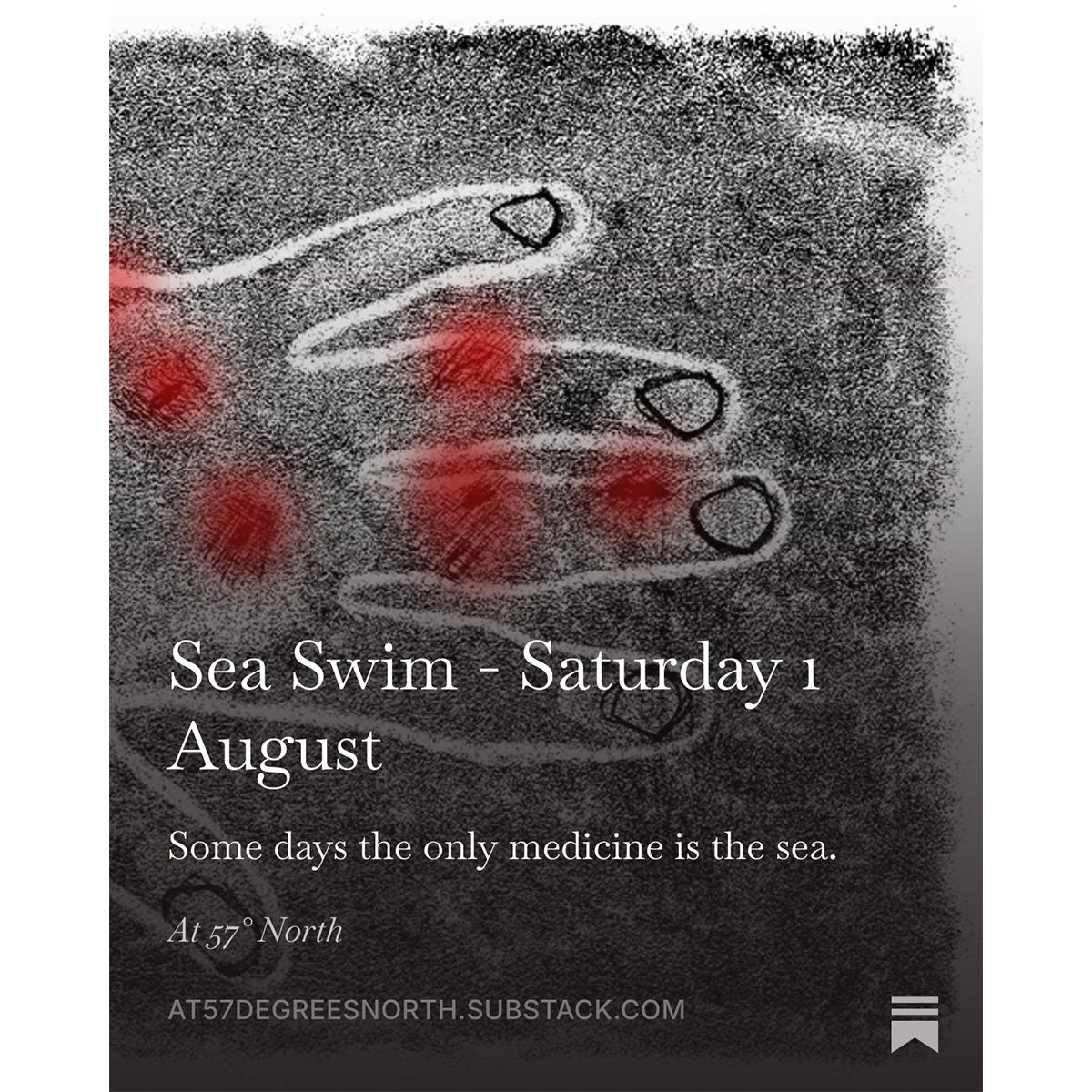 Some days the only medicine is the sea.

New piece up on At 57&deg; North.

#seaswimming #atfiftysevendegreesnorth #findhorn #morayfirth #wildswimming #coldwaterswimming #scotland #personalessay #placewriting