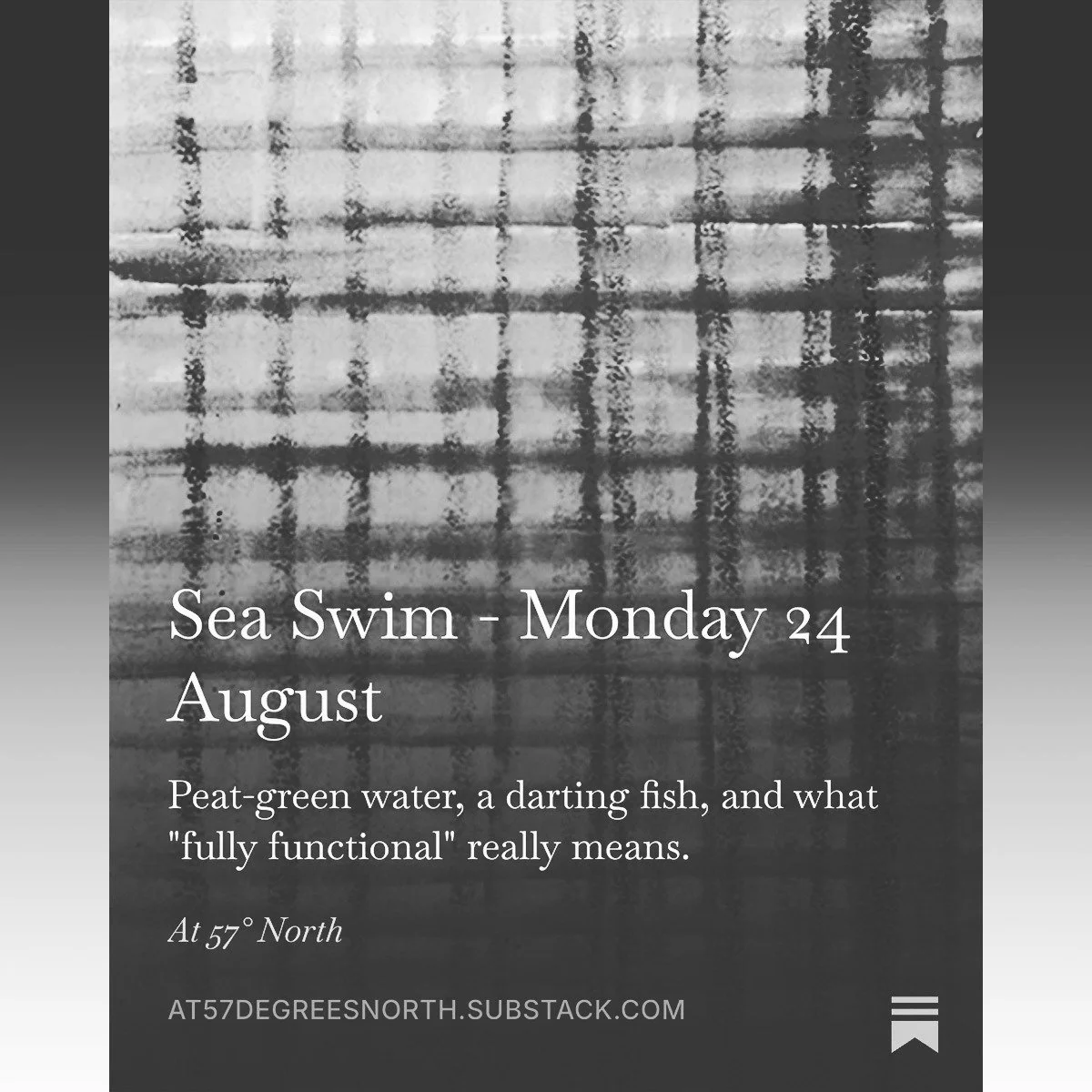 A soft ombr&eacute; of blue, green, brown. Soft like cashmere. 🌊 Swim notes and a fish mystery, up now at 57&deg; North.

#personalessay
#placewriting
#seaswimming
#scotland 
#substack