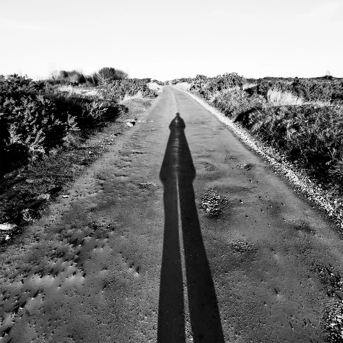 self_dunes road_1.jpg