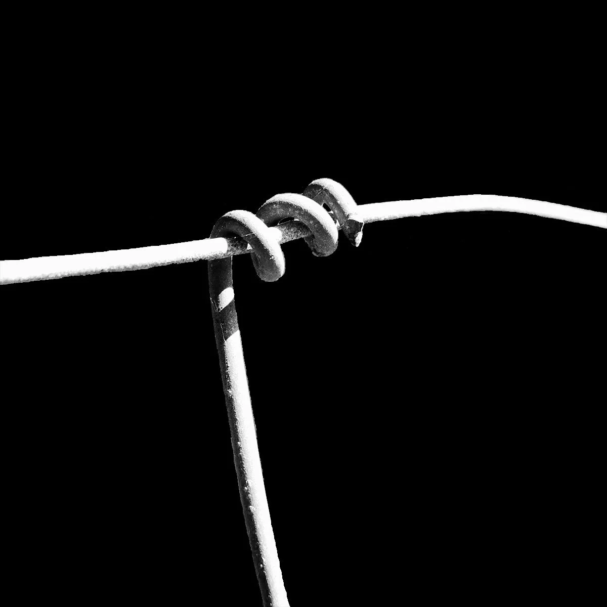 Draad-Fence_Black_3 Below_ (4).jpg