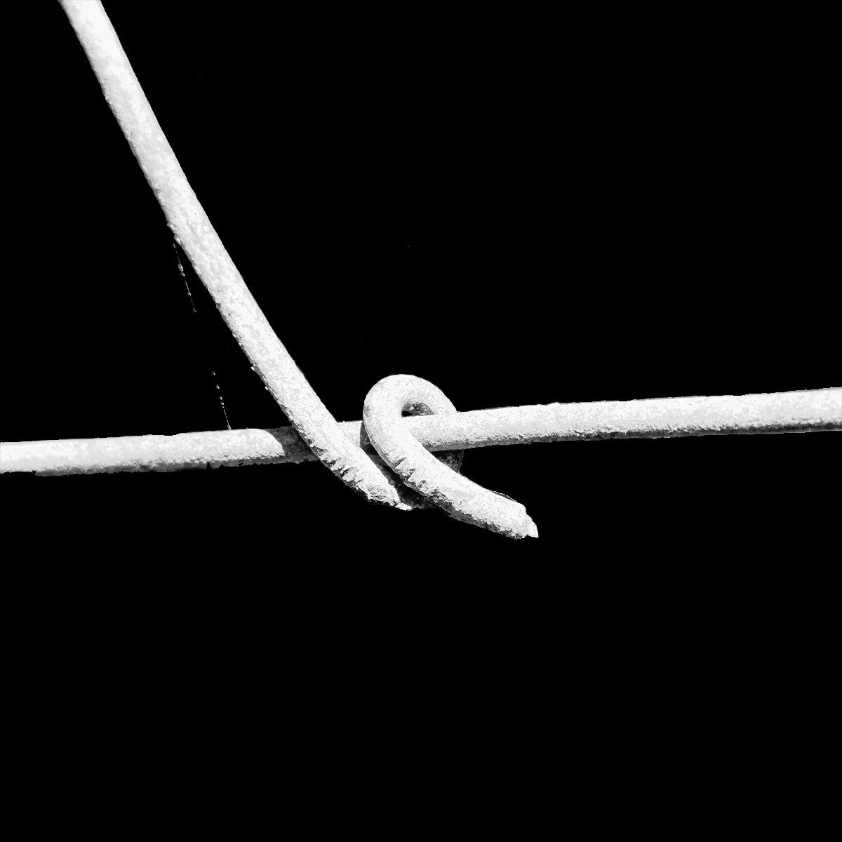 Draad-Fence_52.jpg