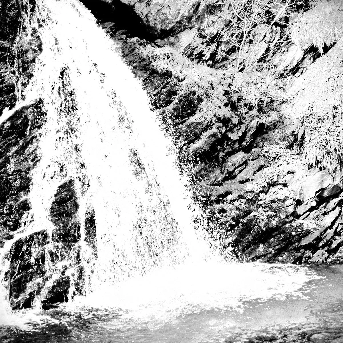 Bottom Fall_1_bw.jpg