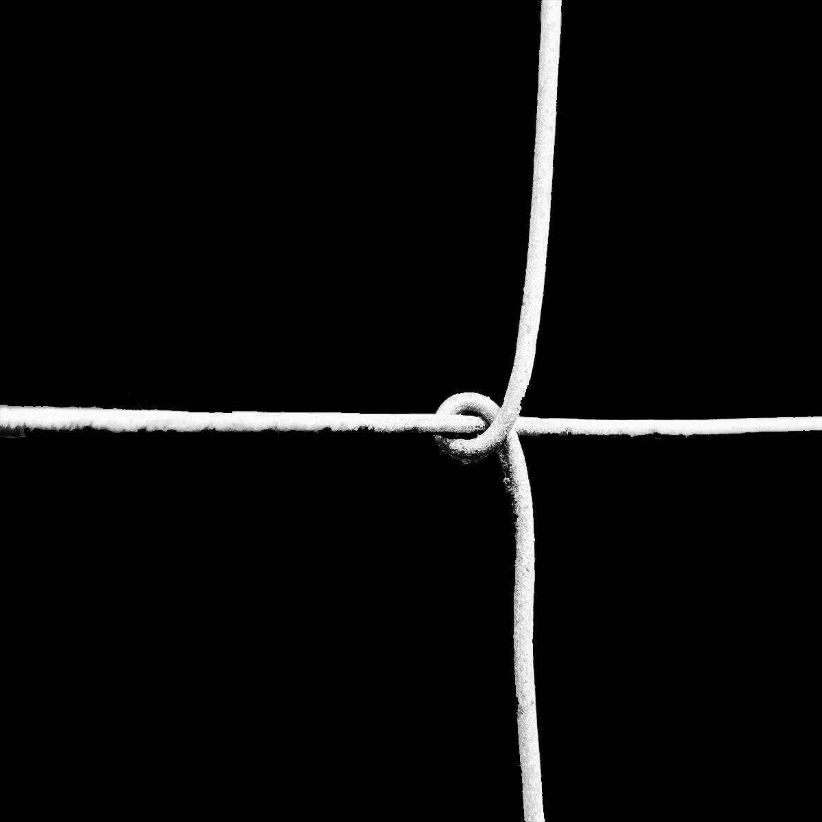 Draad-Fence_21.jpg