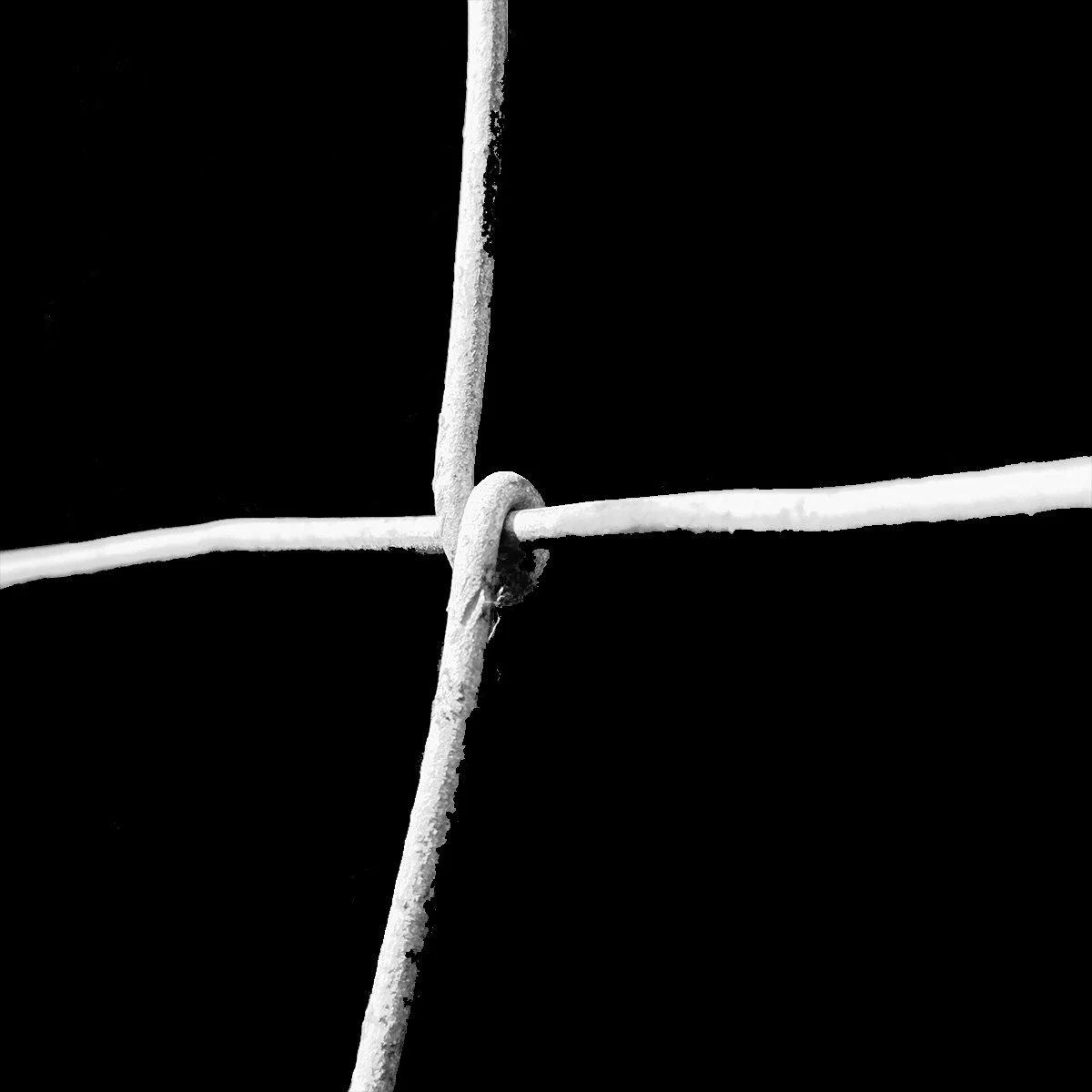 Draad-Fence_20.jpg