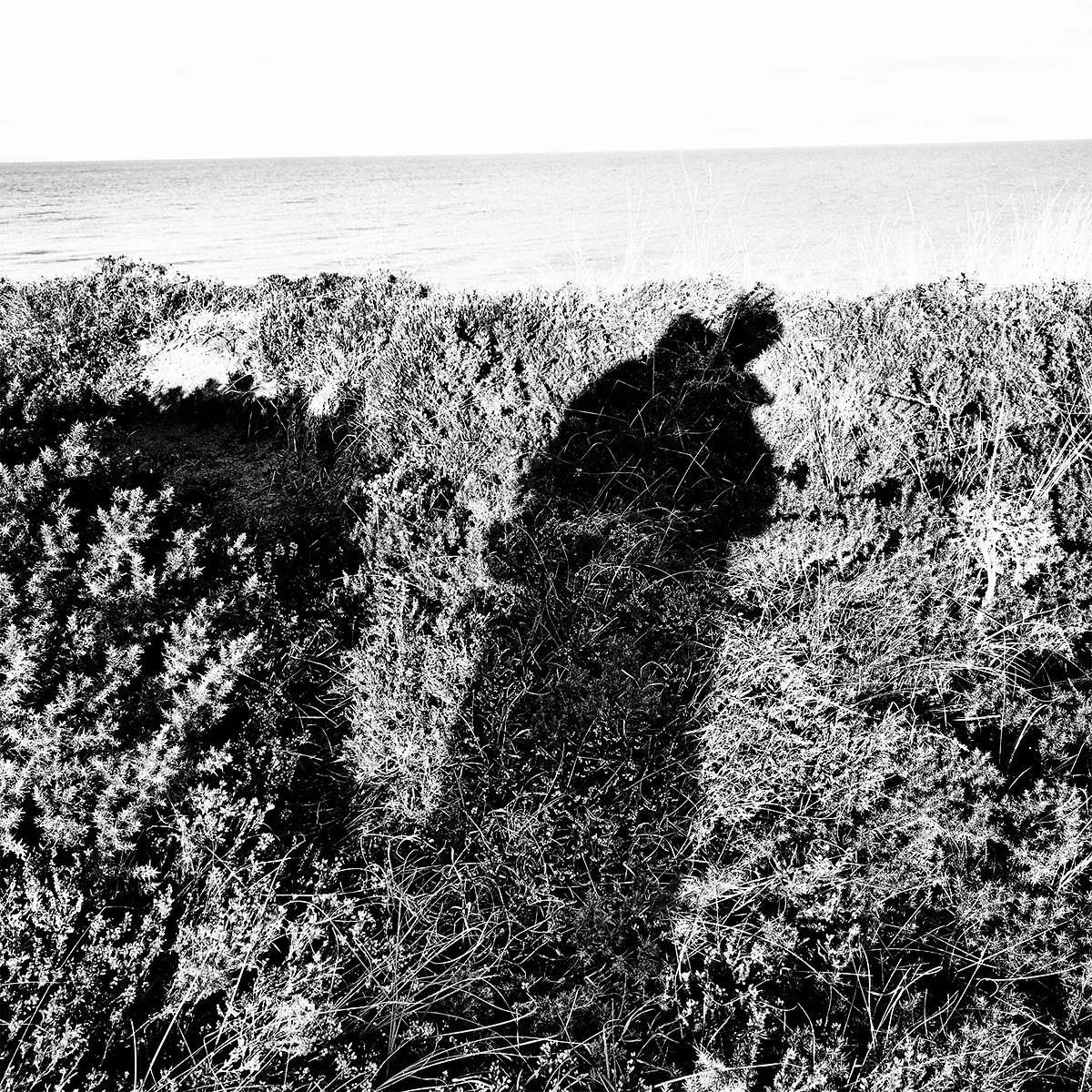 self_MOD fence_1.jpg