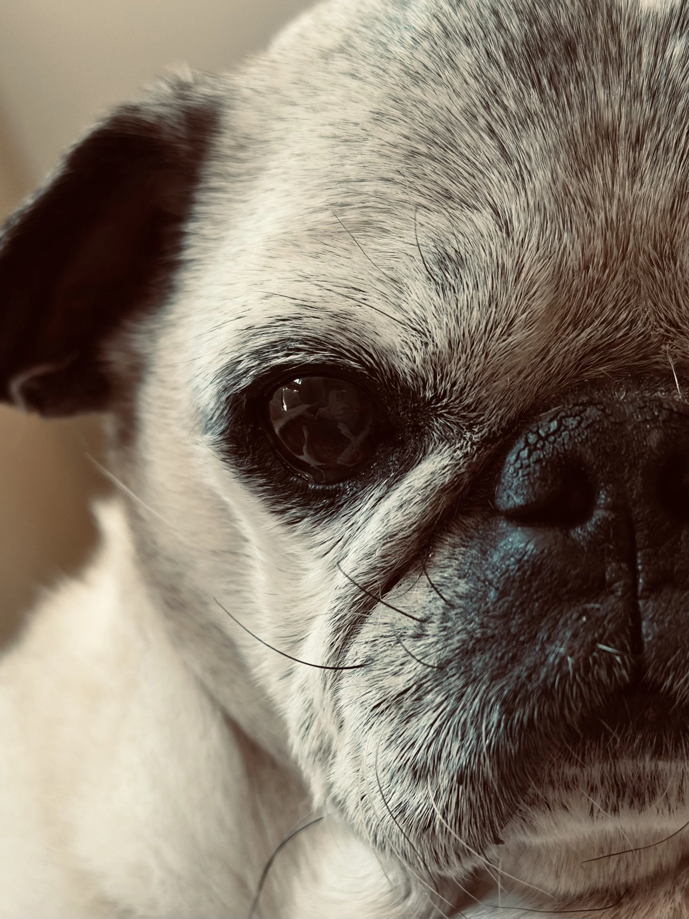 The Oneness is All of us