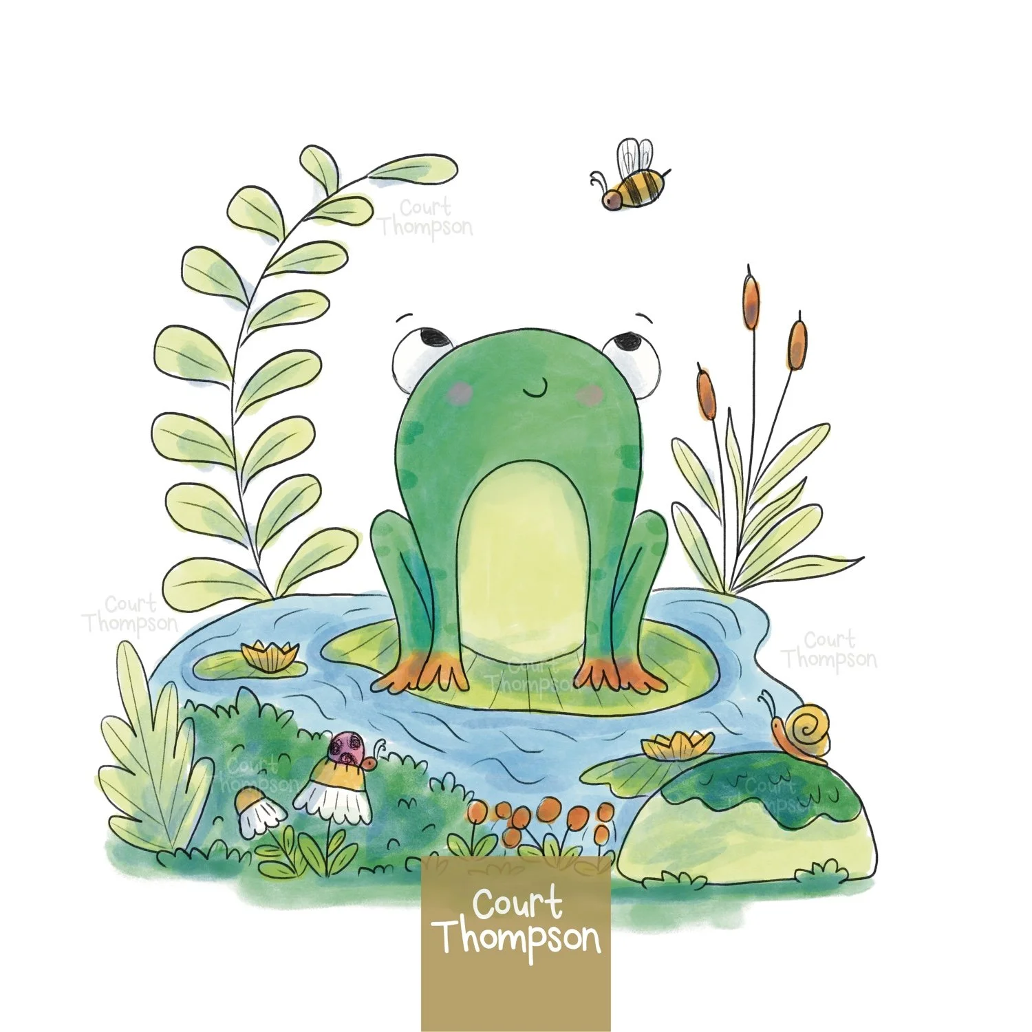 Post_FrogPondSpot.jpg