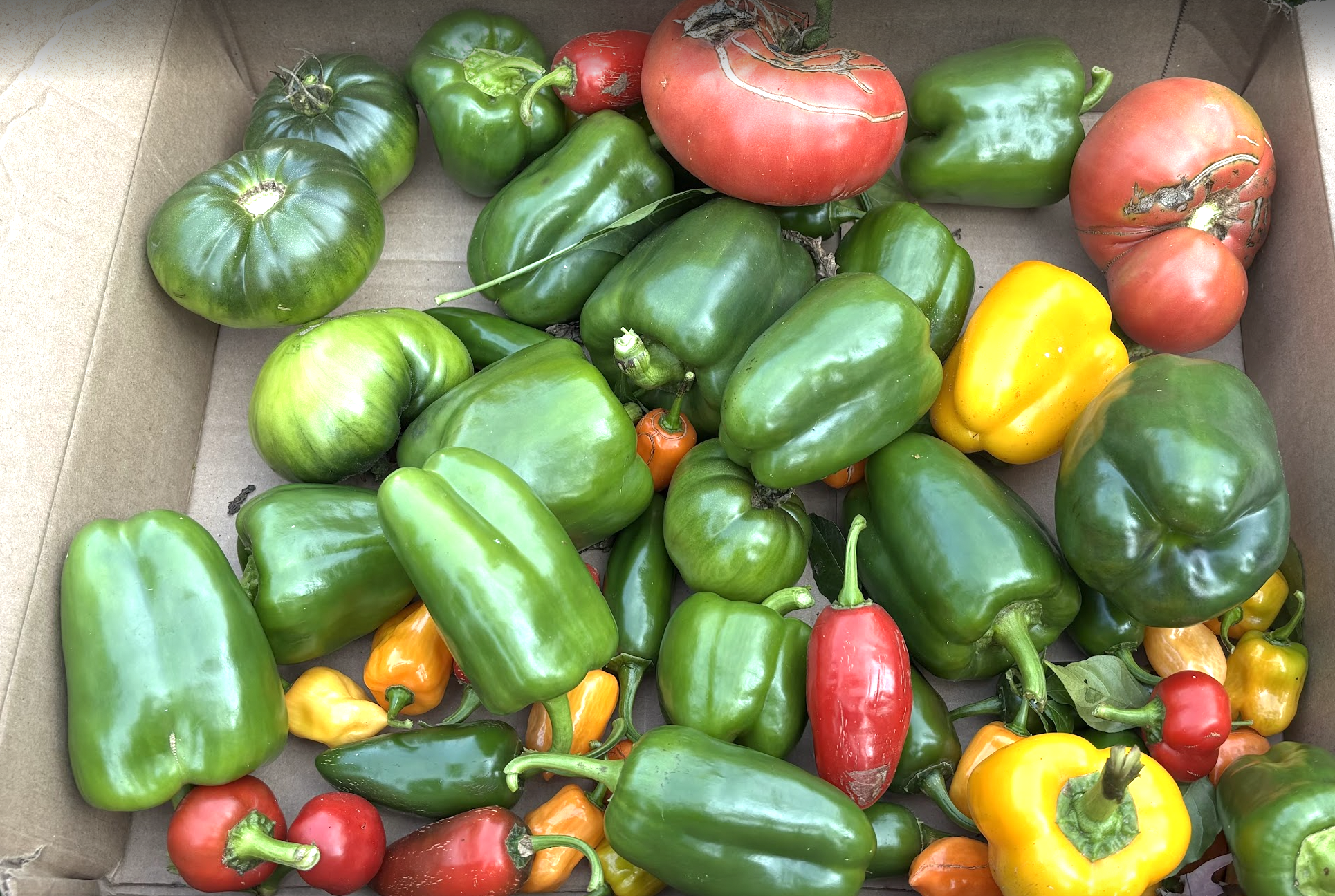 💙Love is... Community Supper June 11 - Newcomers