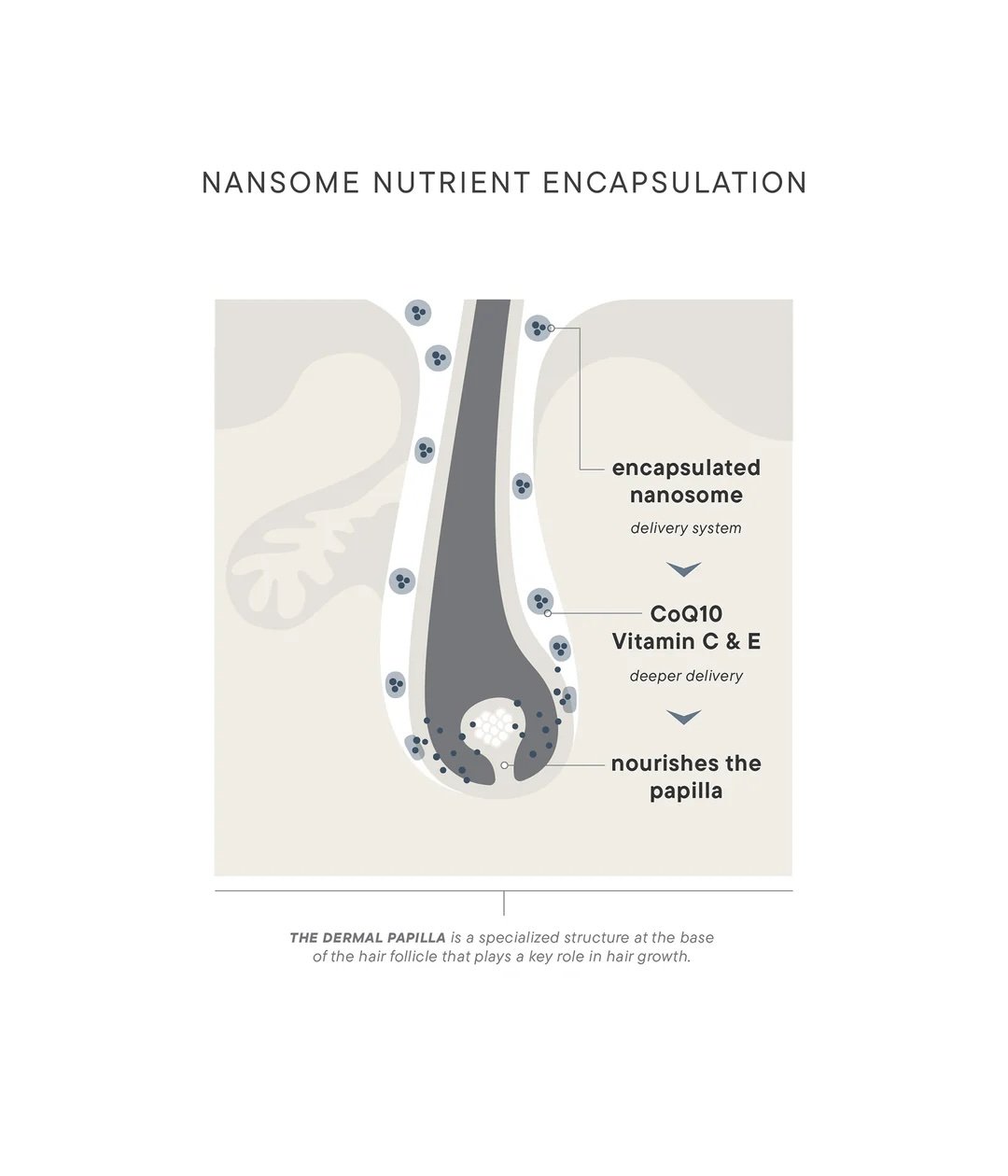 NanosomePDP_1080x.jpeg