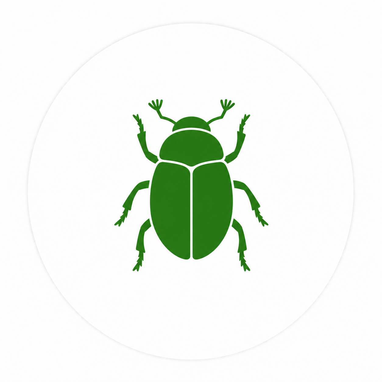 June bug pest control in Oklahoma City and Edmond homes