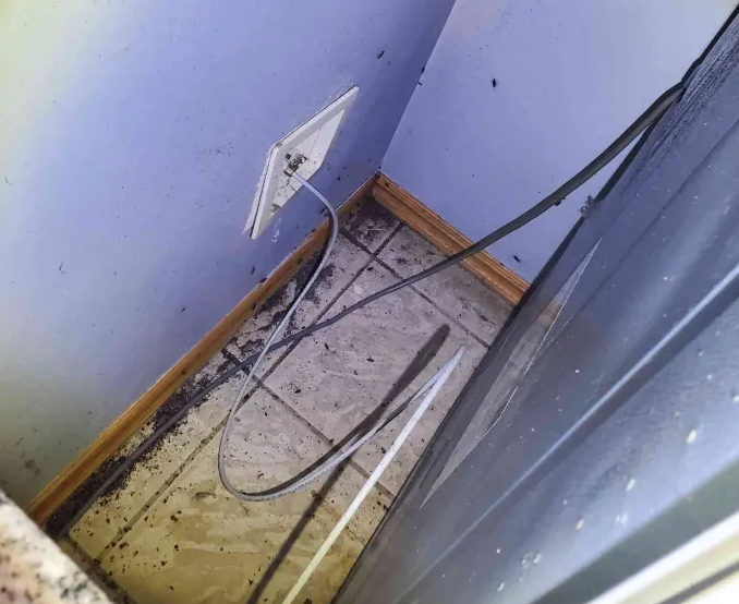 Cockroach hiding area behind appliances and baseboards showing common infestation spots in Edmond, Oklahoma homes
