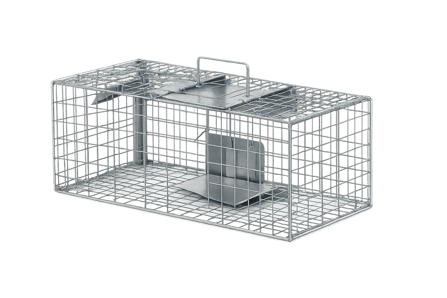 A metal wire animal trap with a door and a small electronic device inside.