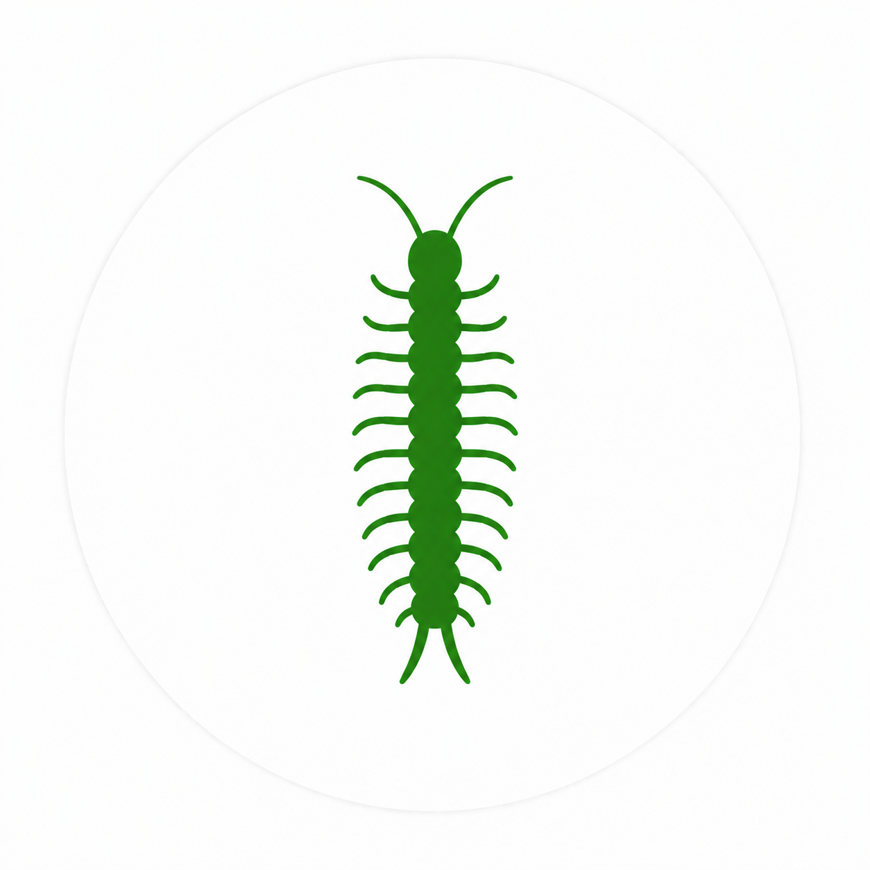 Centipede pest control for homes in Oklahoma City and Edmond