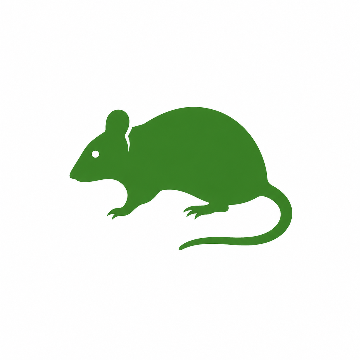 Rodent control in Oklahoma City OK for mice and rat removal