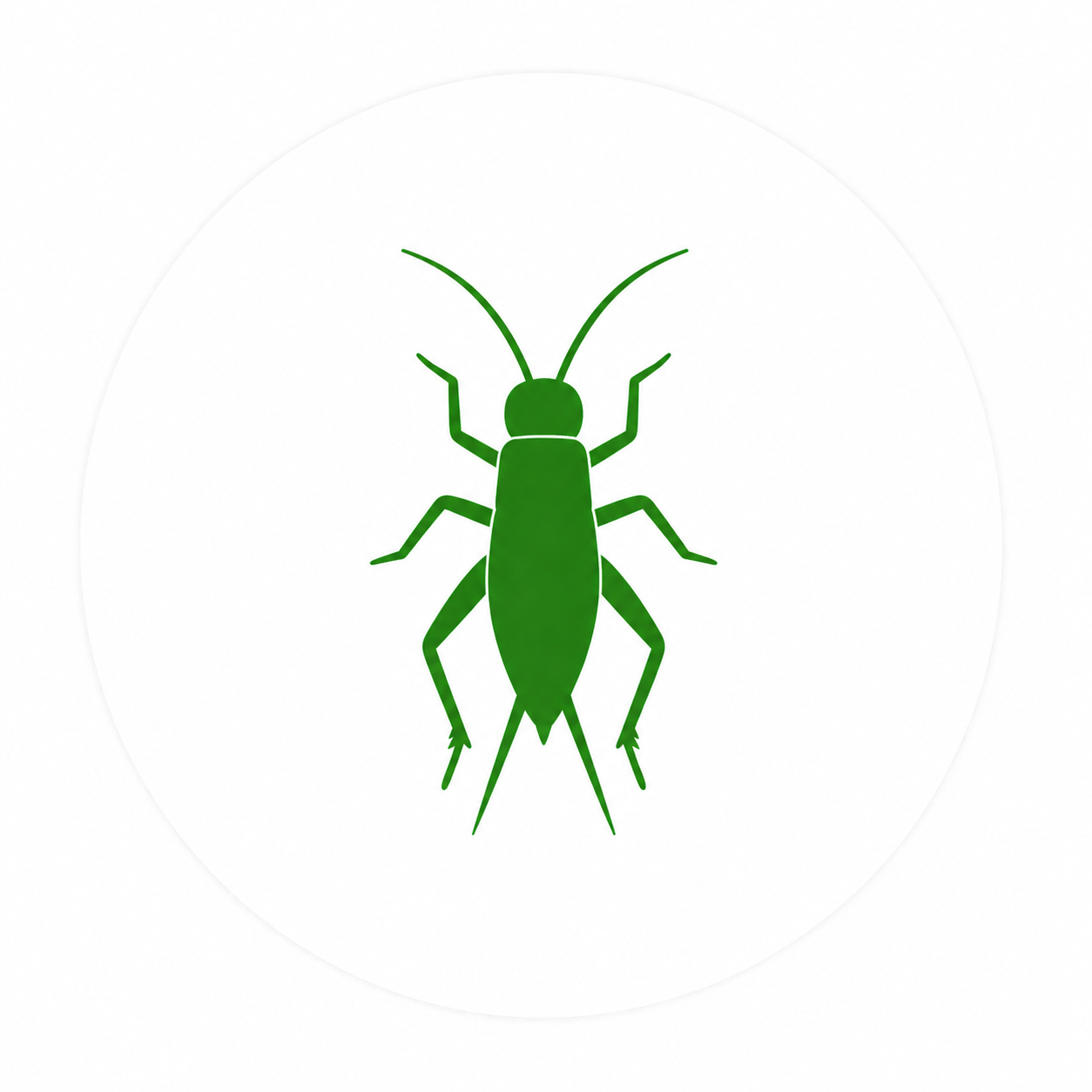 Cricket pest control for homes in Oklahoma City and Edmond