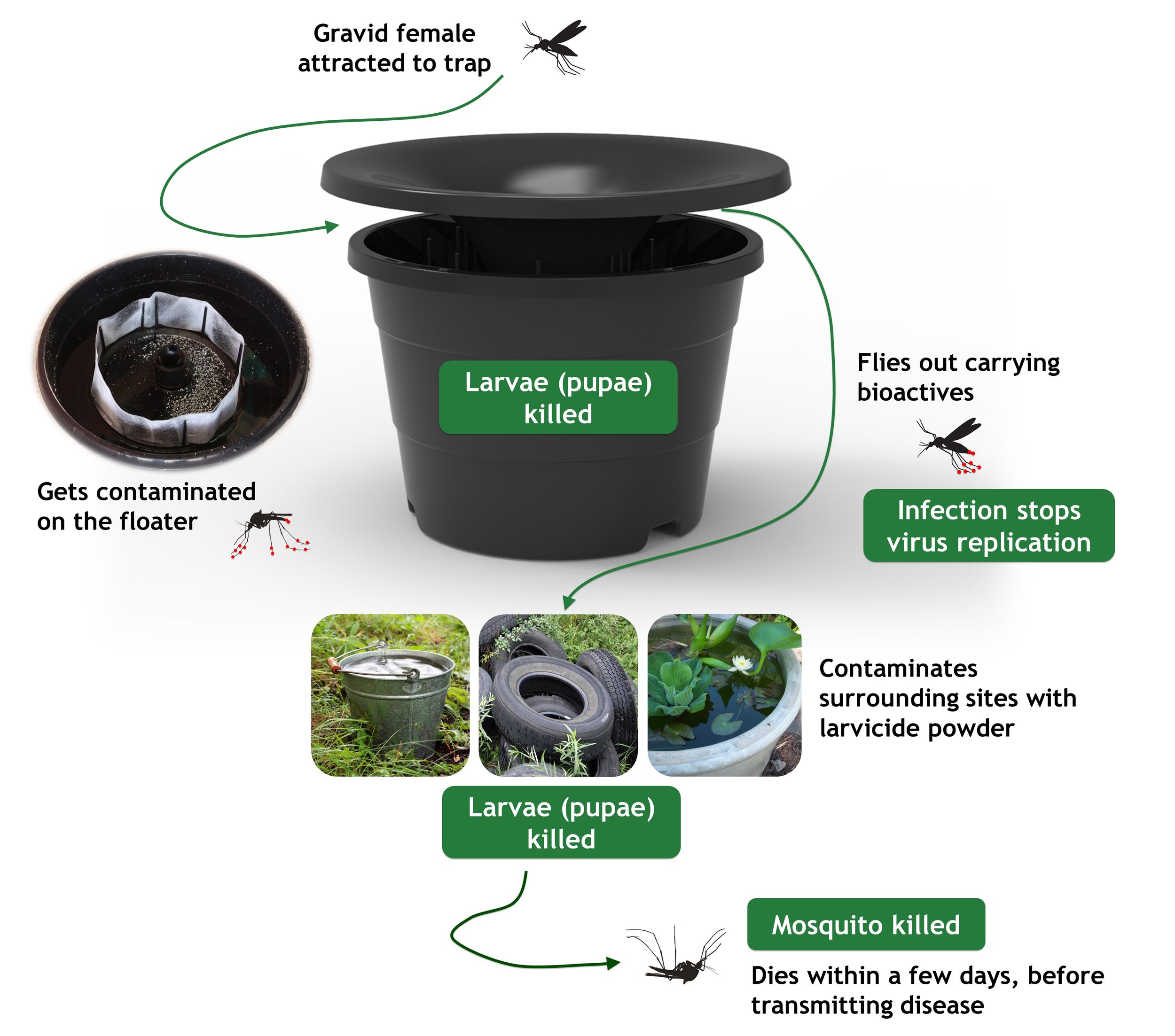In2Care mosquito control system showing how mosquitoes spread larvicide to breeding sites in Oklahoma City