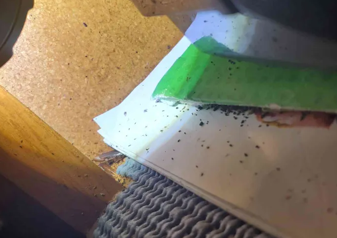 Cockroach droppings found in kitchen cabinets indicating infestation in Edmond, Oklahoma