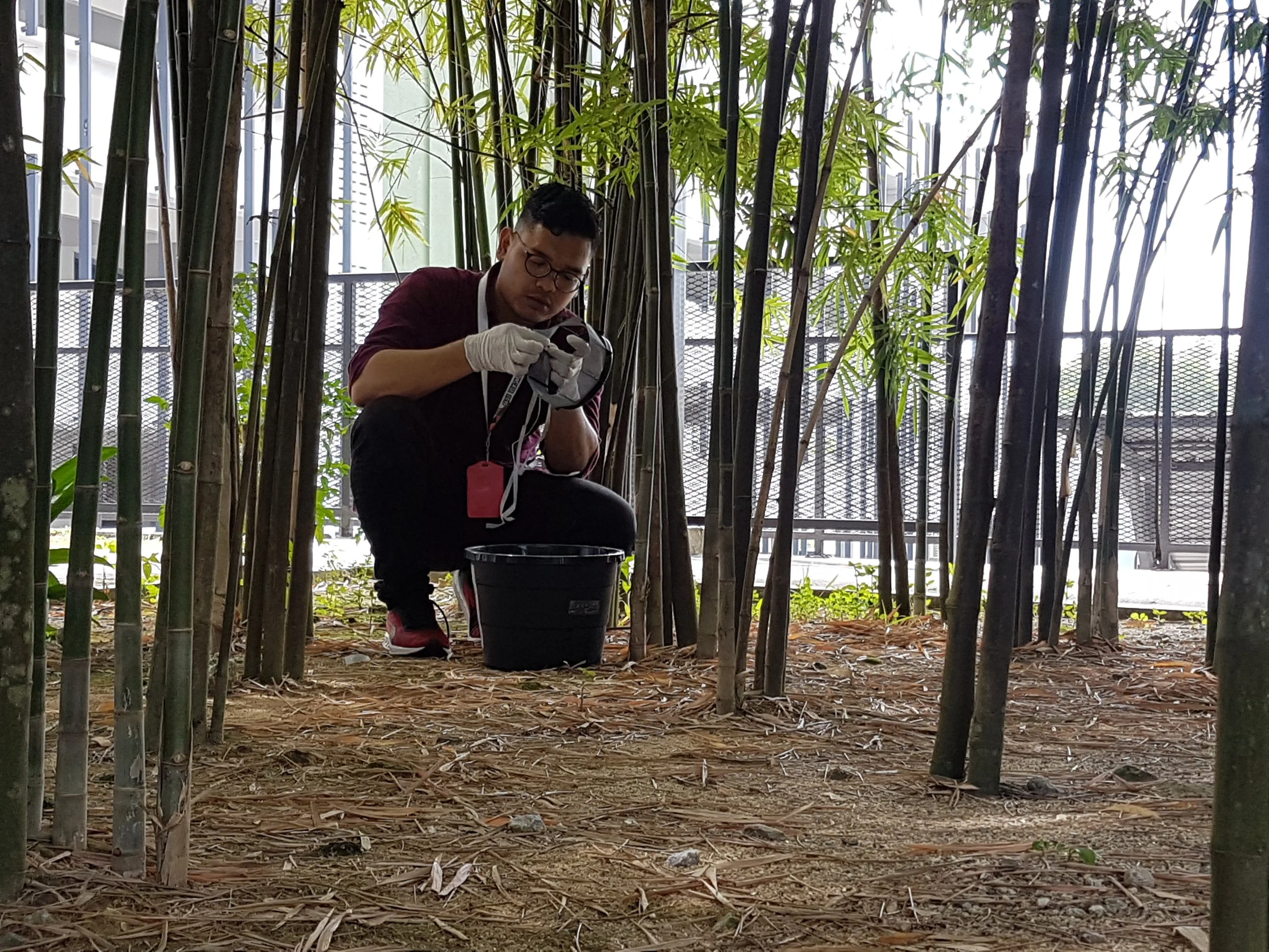 Technician installing In2Care mosquito control station in shaded area of Oklahoma City backyard