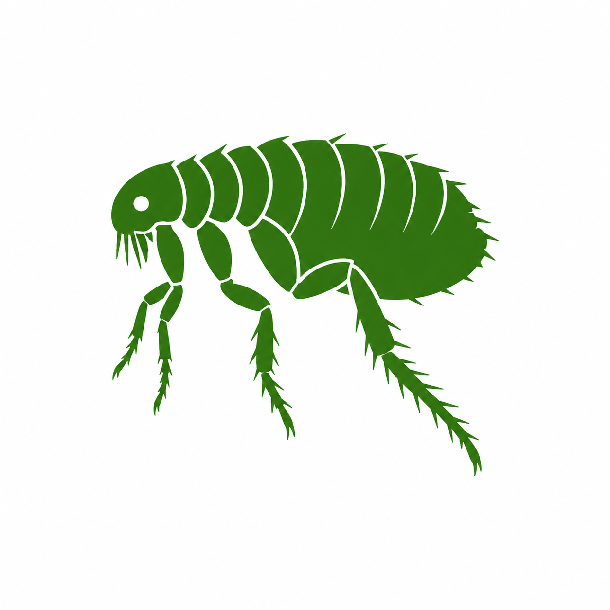 Flea control services in Oklahoma City OK for home and yard infestations