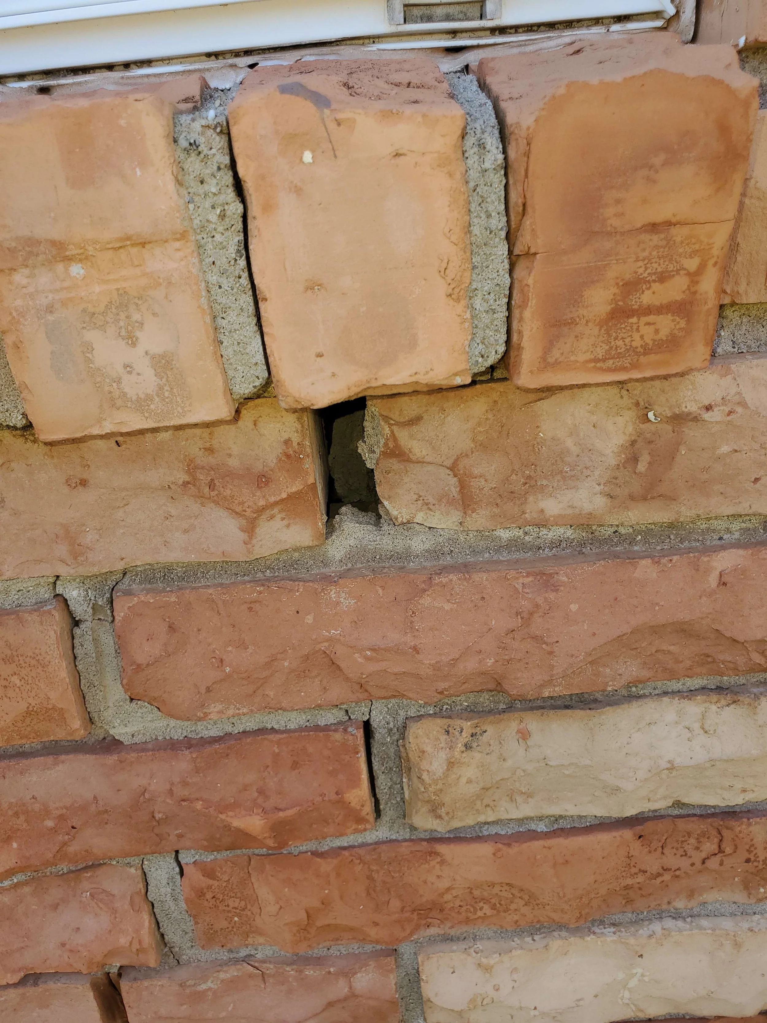 exclusion issue found on oklahoma city home