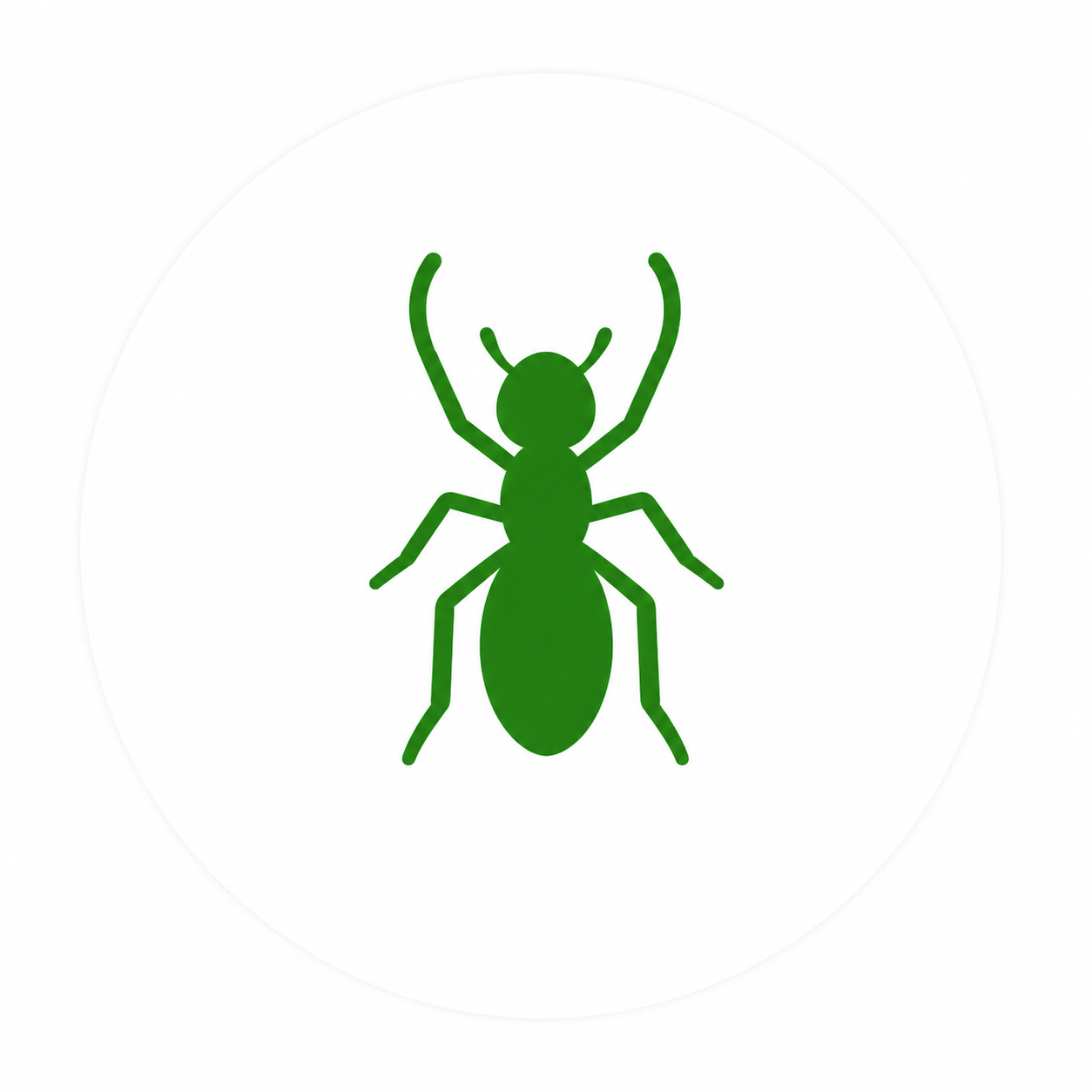 Ant pest control service in Oklahoma City and Edmond homes