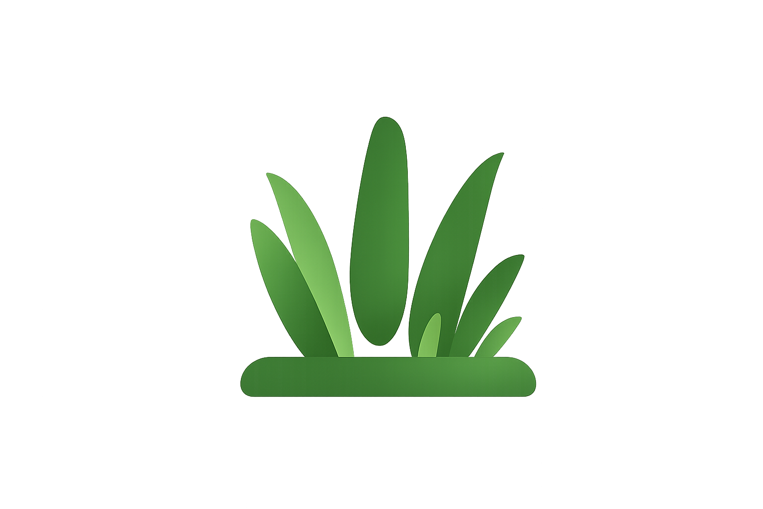 A potted green plant with broad leaves in a rectangular pot.