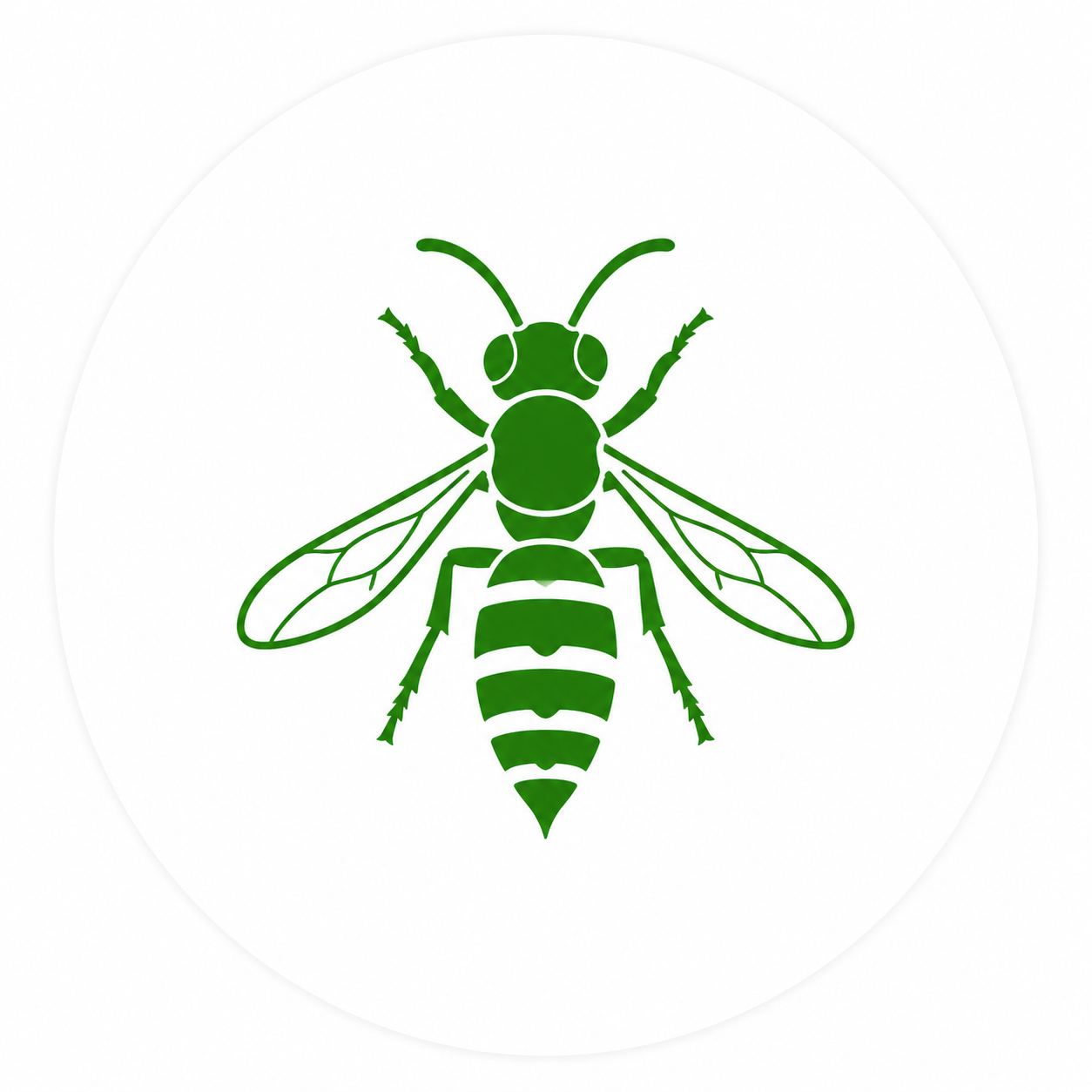 Wasp control and nest removal service in Oklahoma City and Edmond