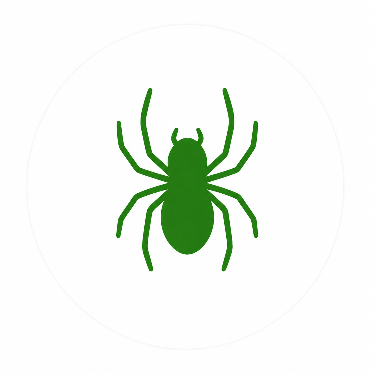 Spider control and removal service in Oklahoma City and Edmond