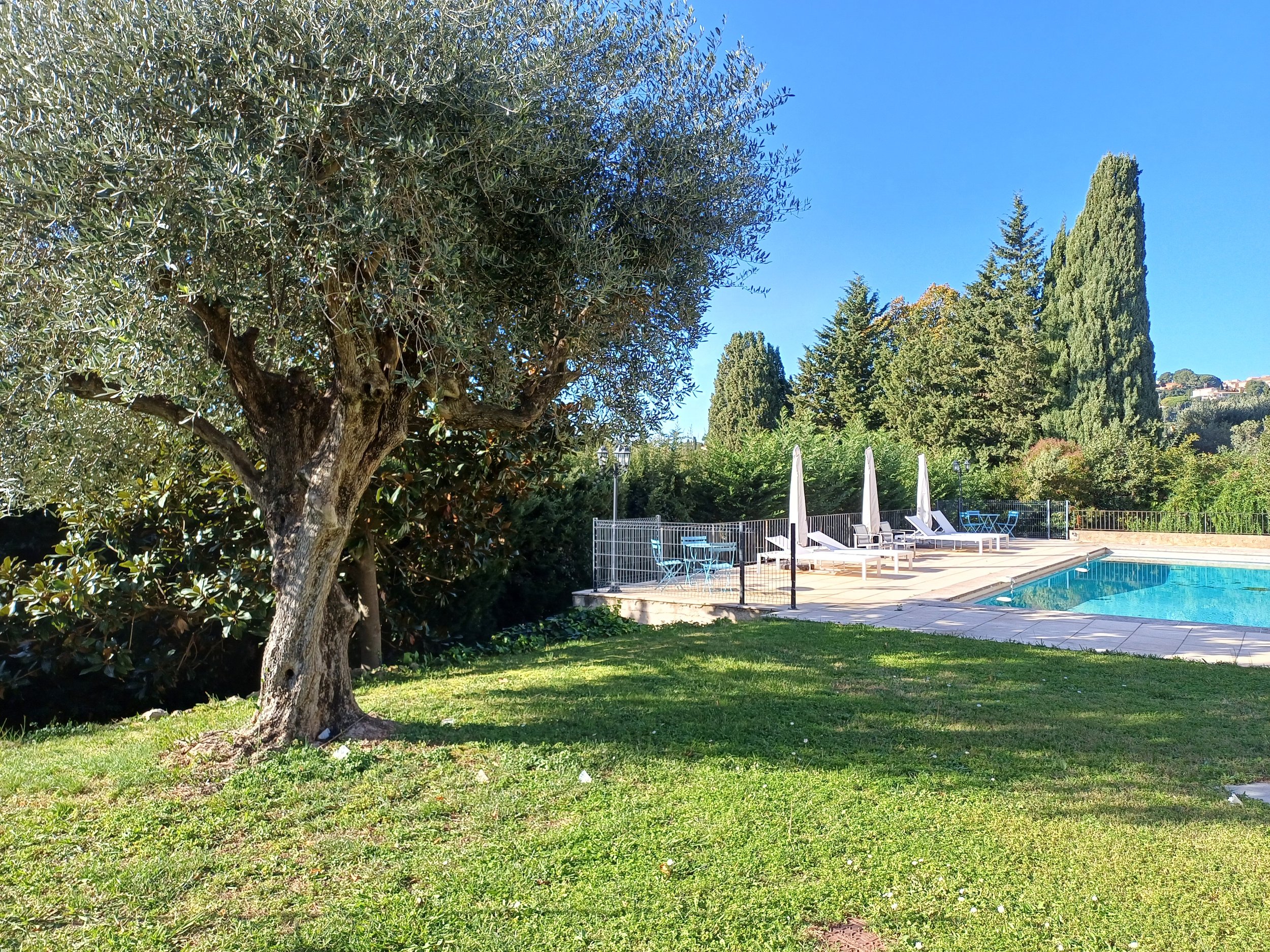 Entretien de jardin à Antibes par Mangiflore, pelouse soignée et jardin valorisé