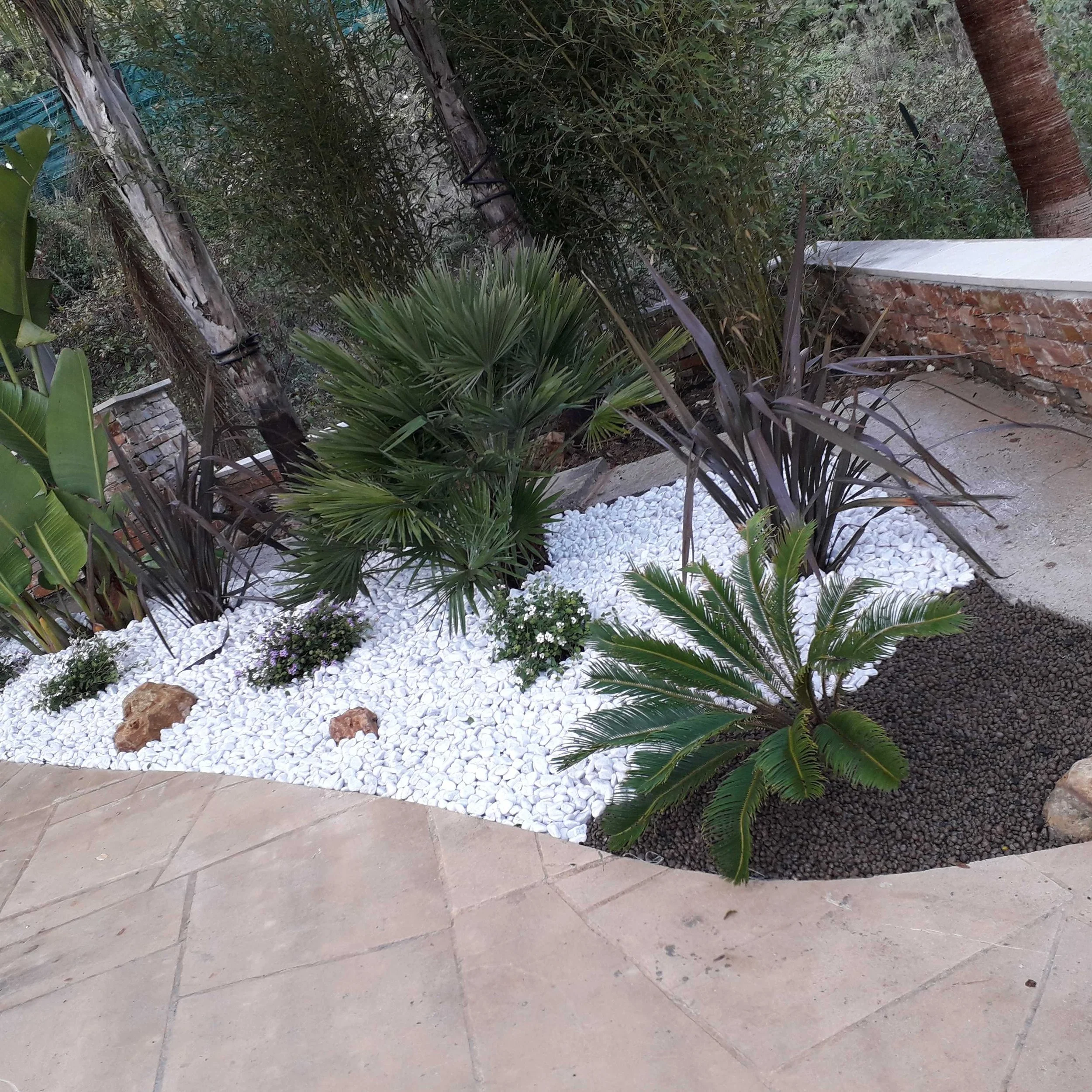 Aménagement de jardin méditerranéen à Antibes par Mangiflore, jardin sec et décoratif