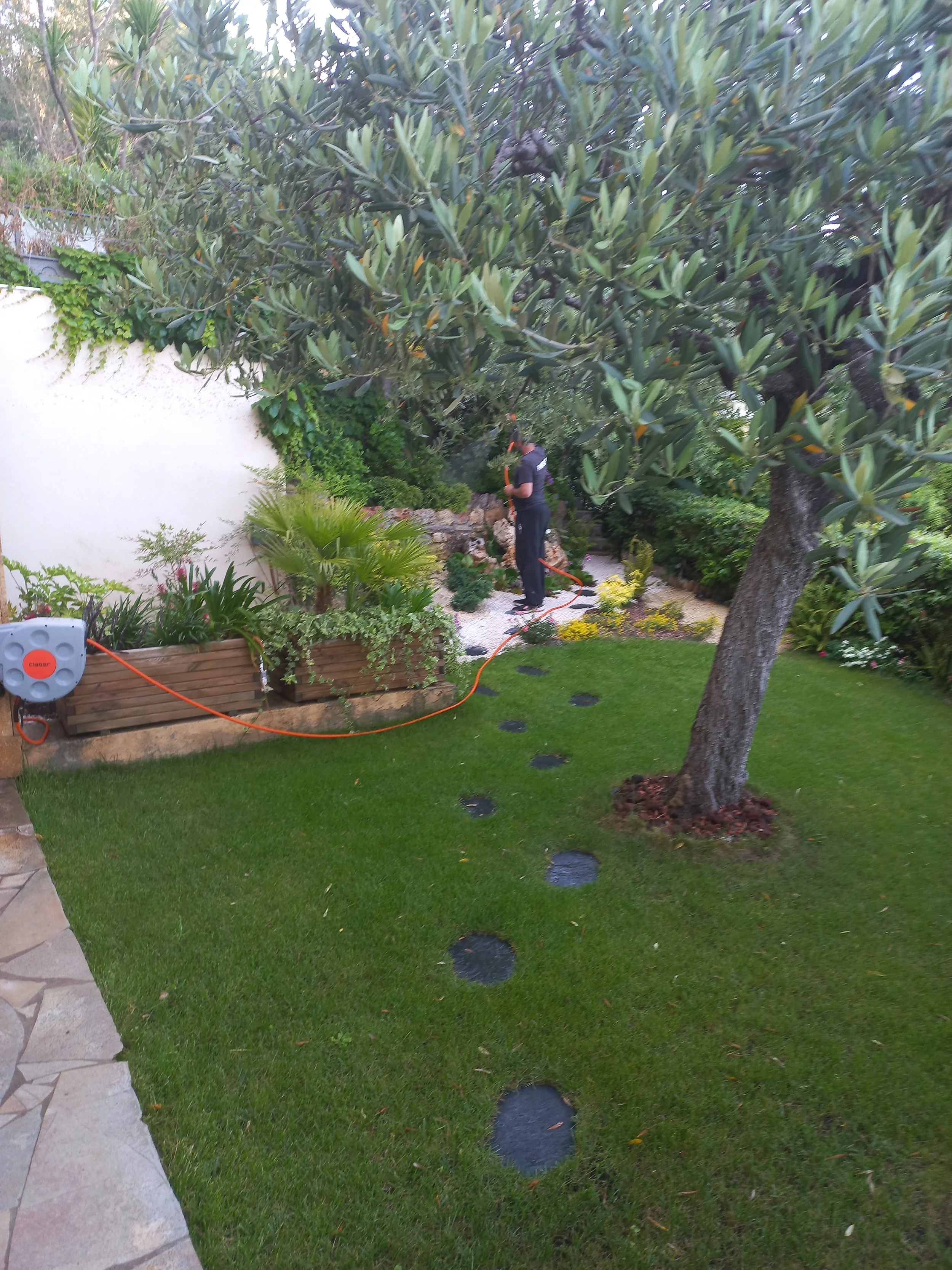 jardin entretenu à Antibes par Mangiflore, tonte de pelouse et entretien régulier