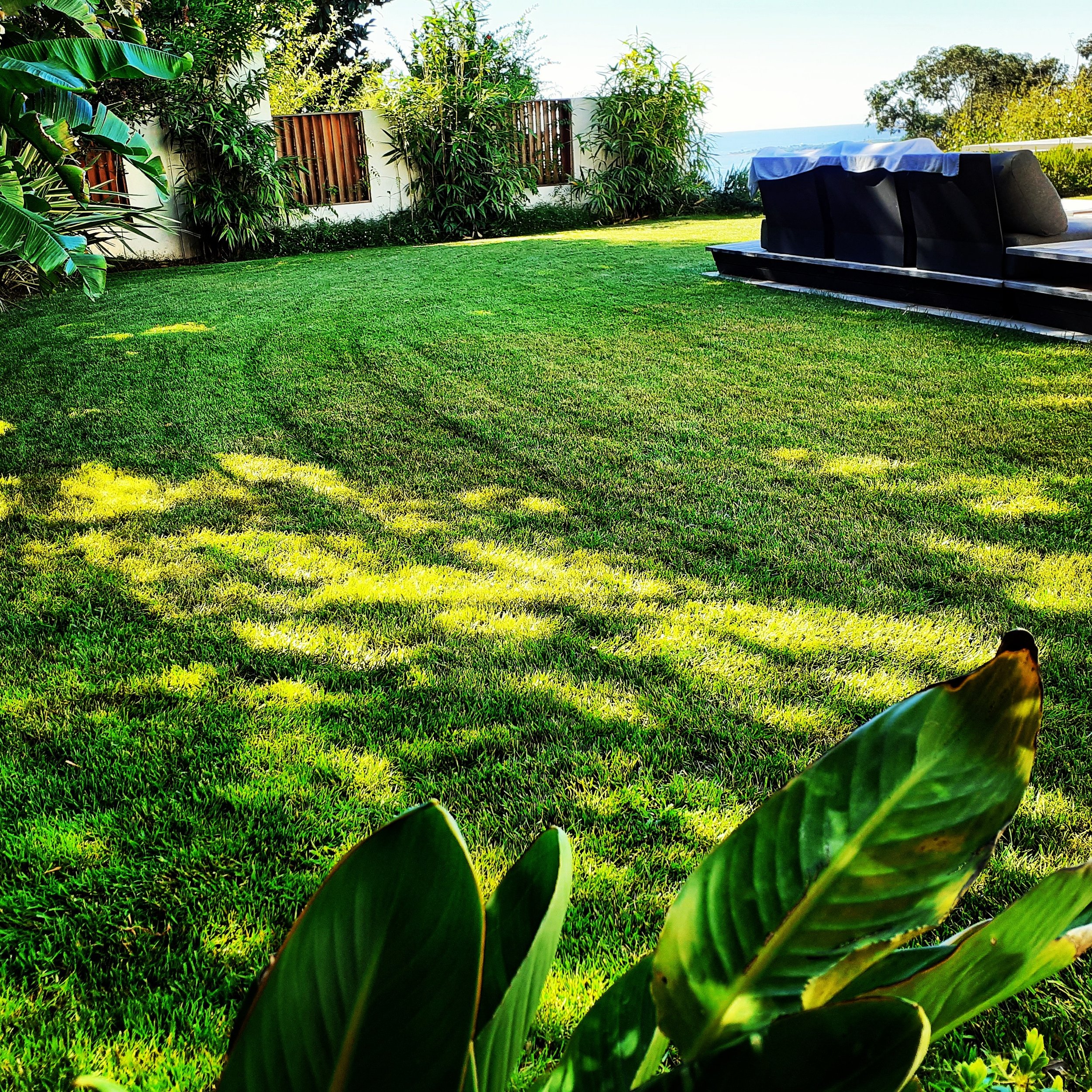 Entretien d'espace vert à Antibes, jardin privé entretenu par Mangiflore