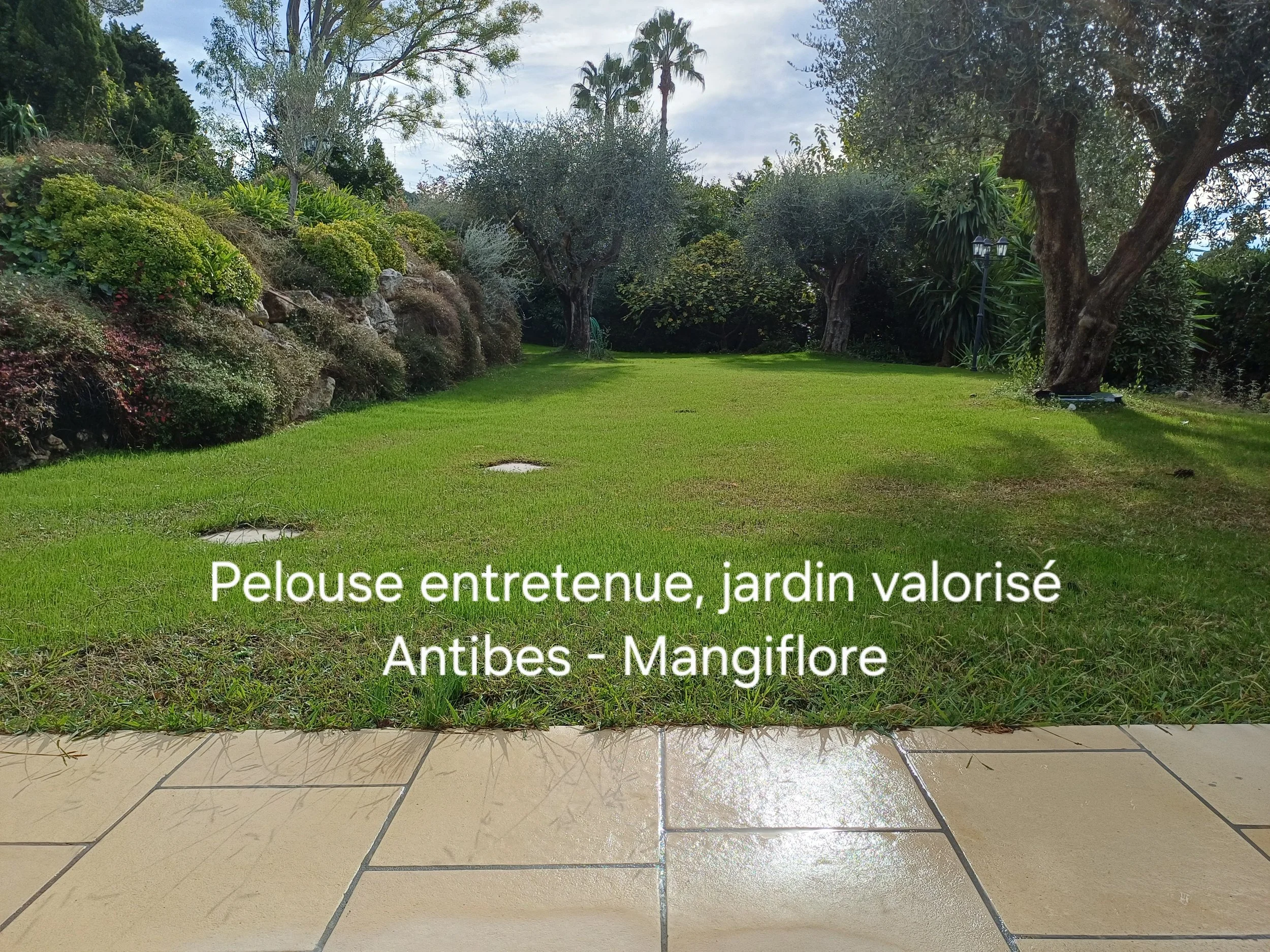 pelouse entretenue dans un jardin privé à Antibes par Mangiflore, entretien complet et mise en valeur du jardin