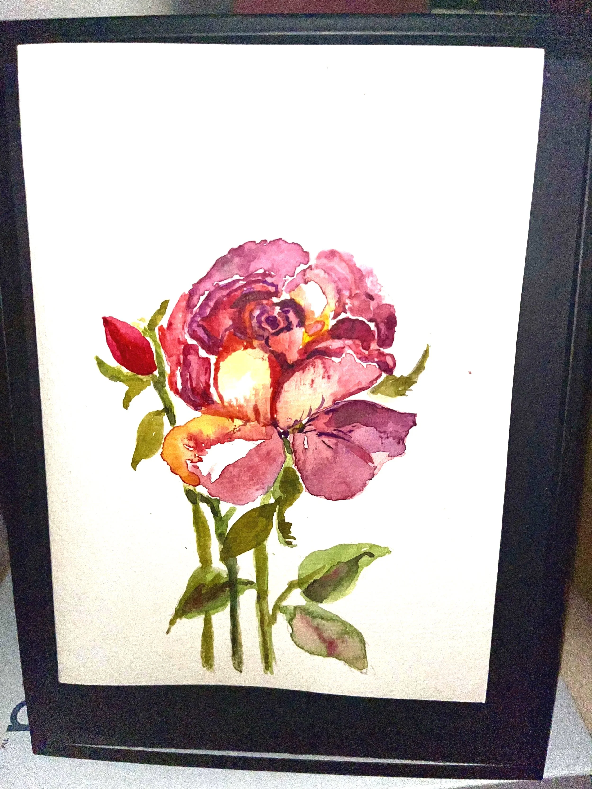 Rose