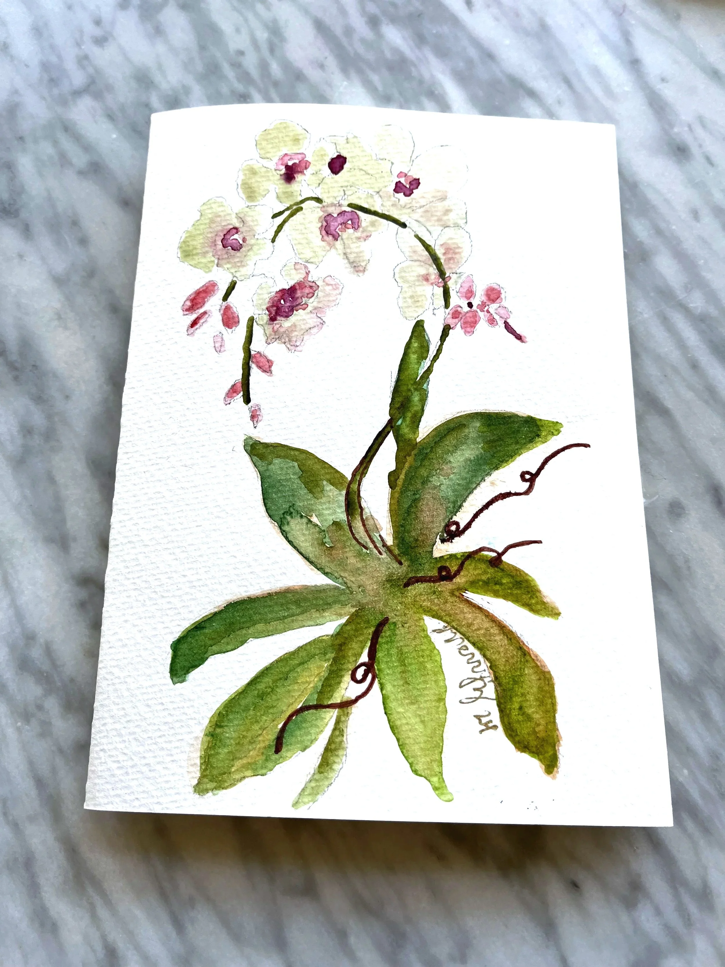Orchid flower