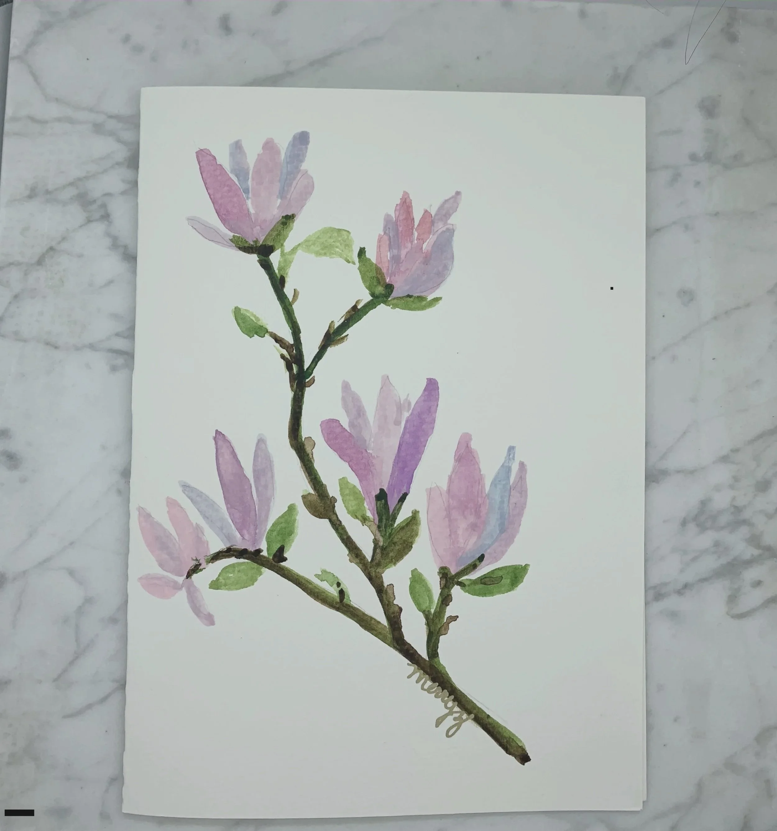Magnolia