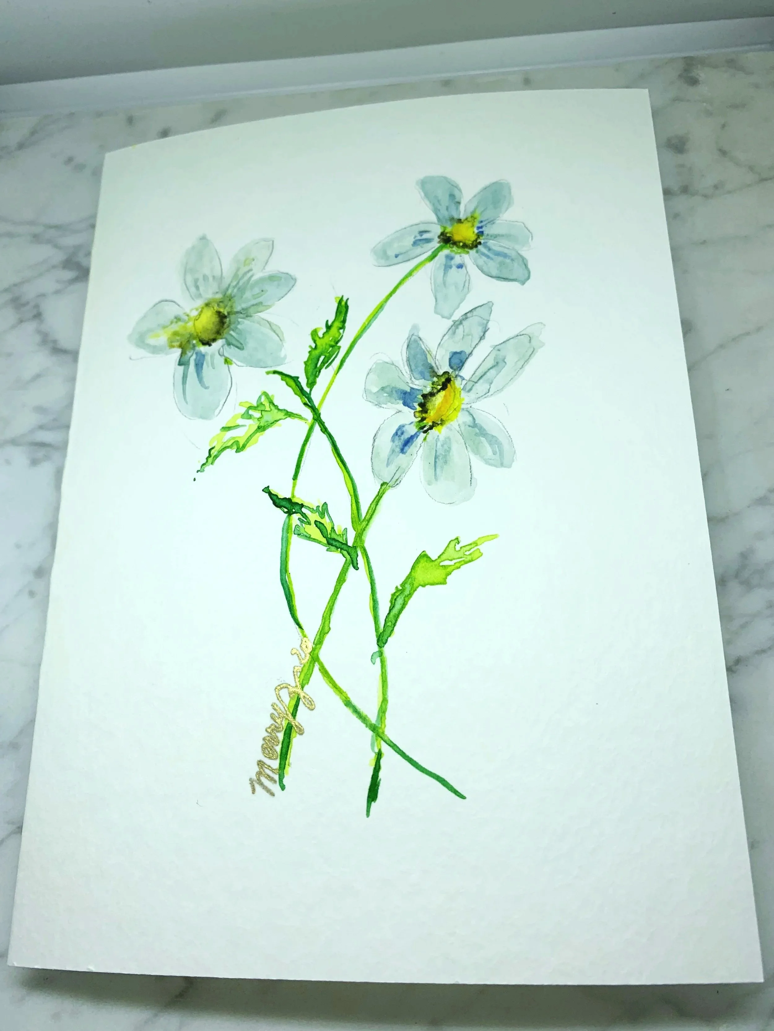 MIla's daisy's