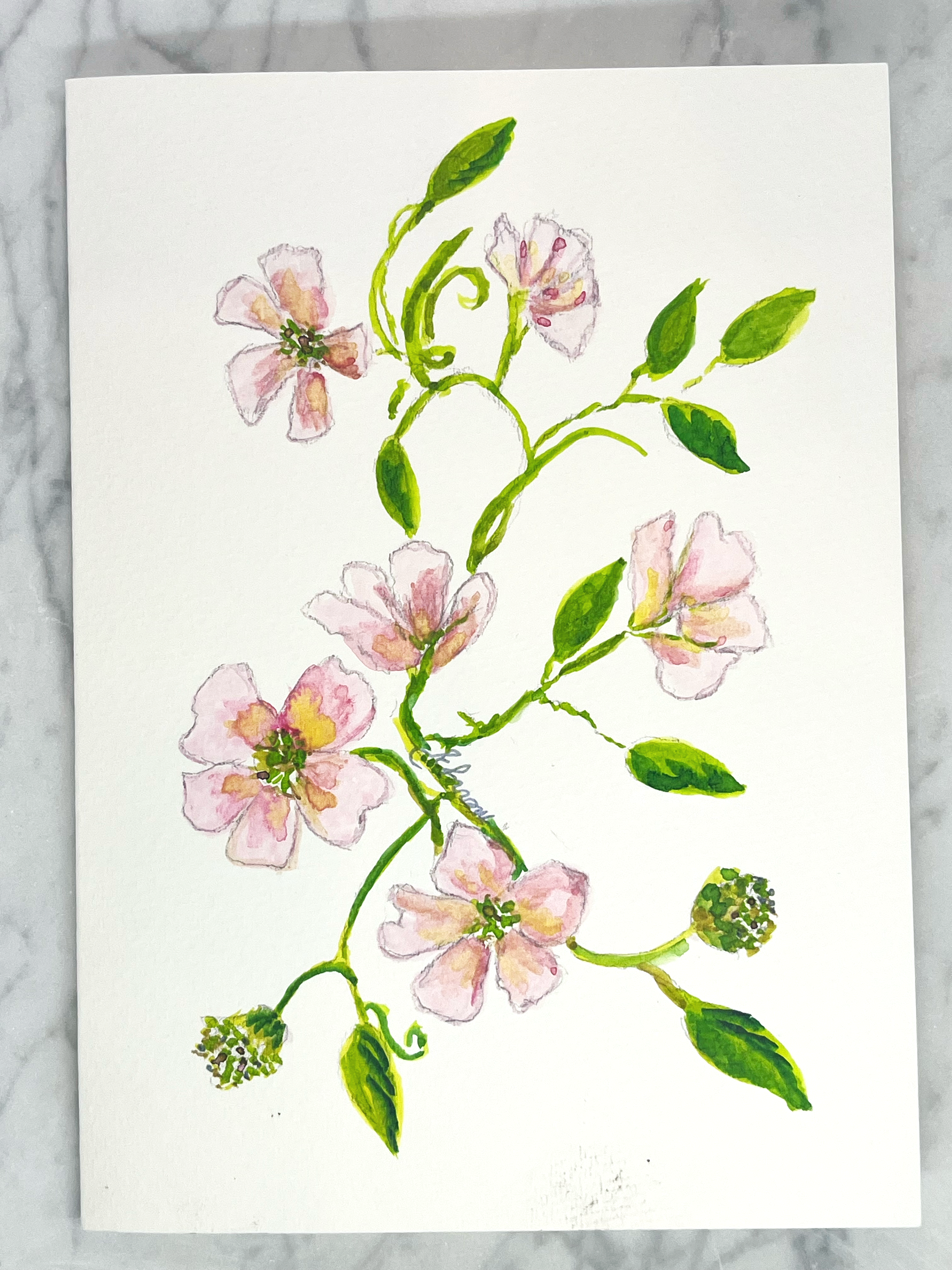Spring berries