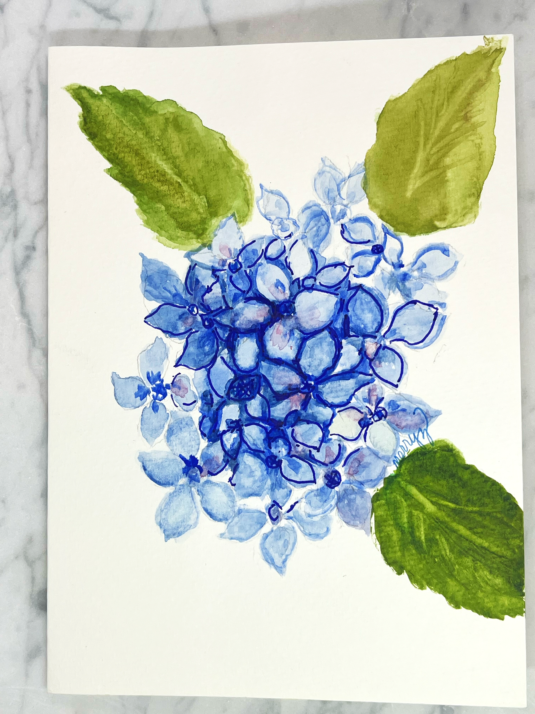 Hydrangea