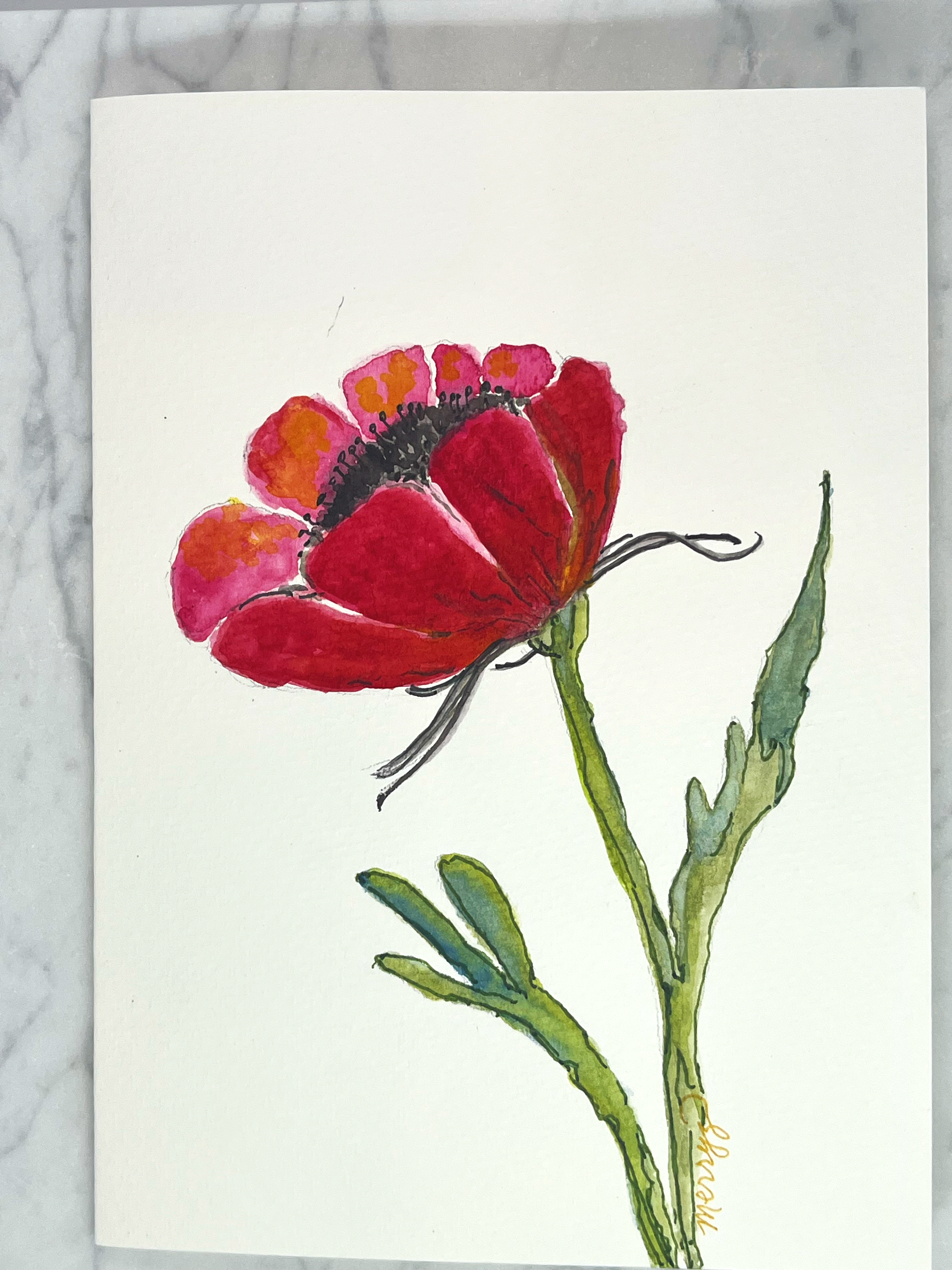 Dorothy's Poppy