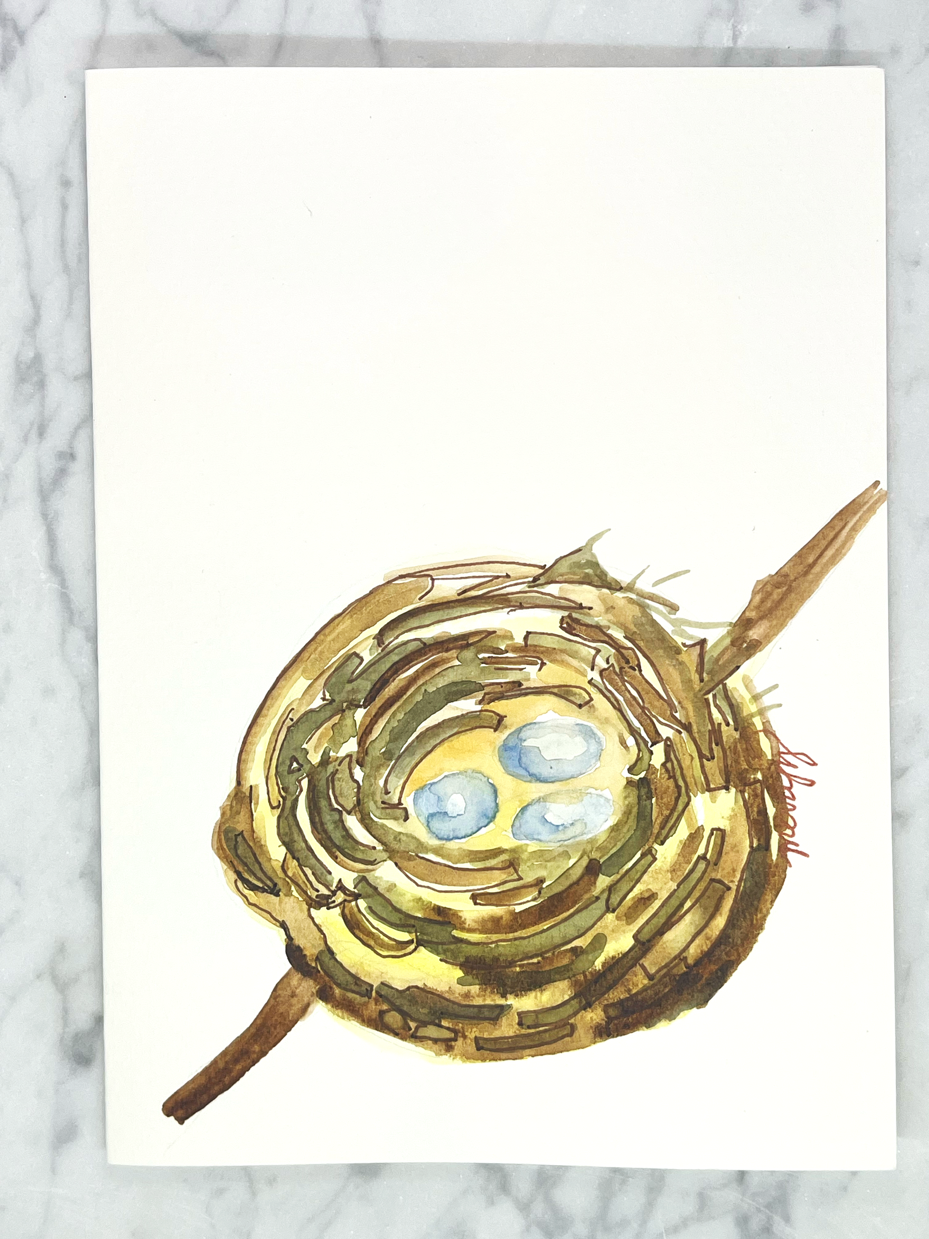Robin's nest 